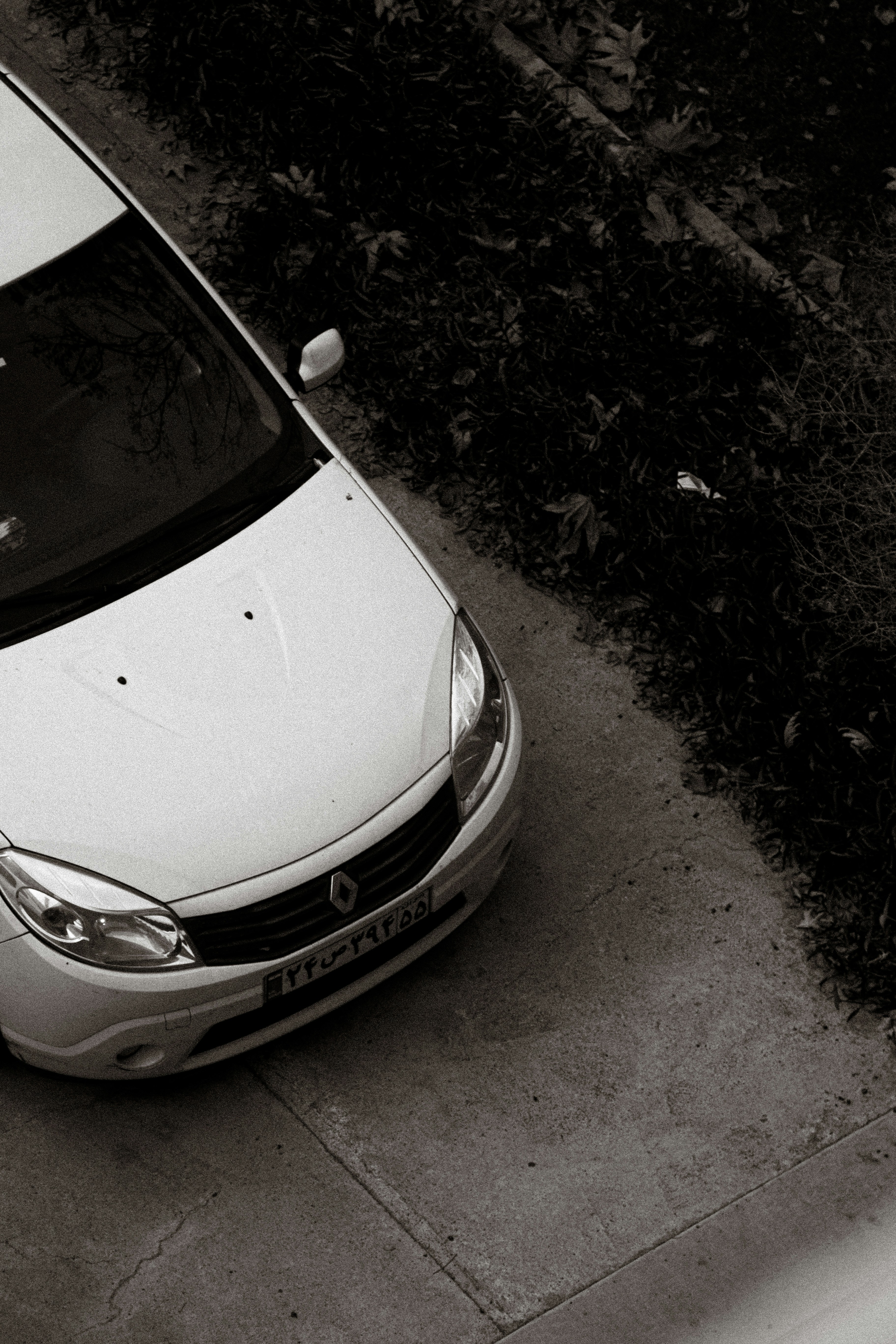 Photo by hossein8728