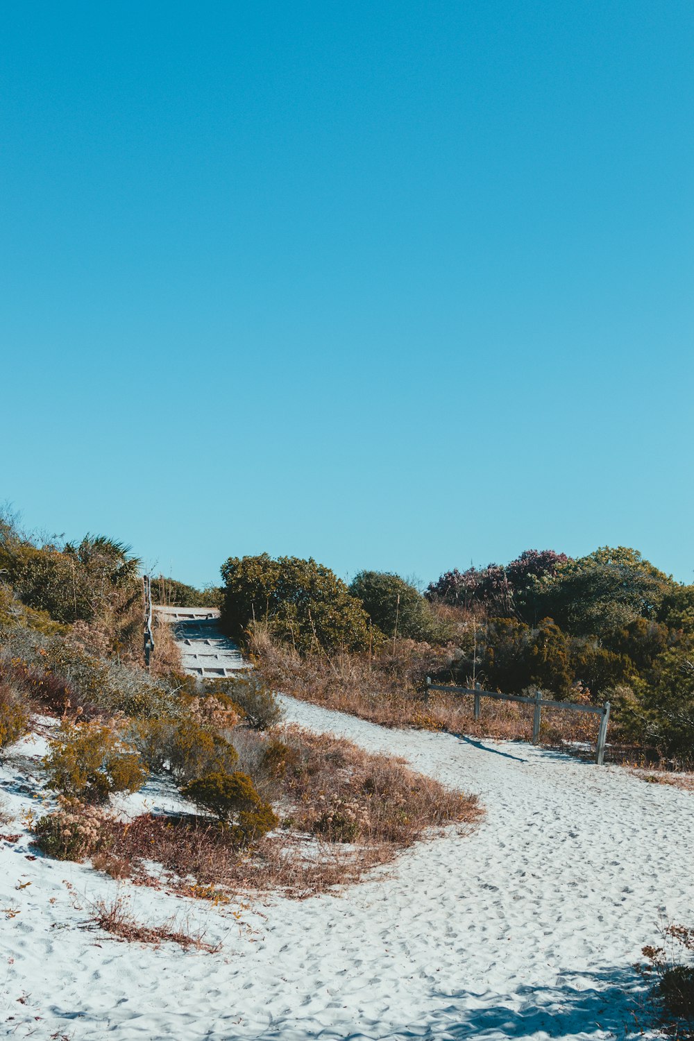 a path leading to the top of a hill