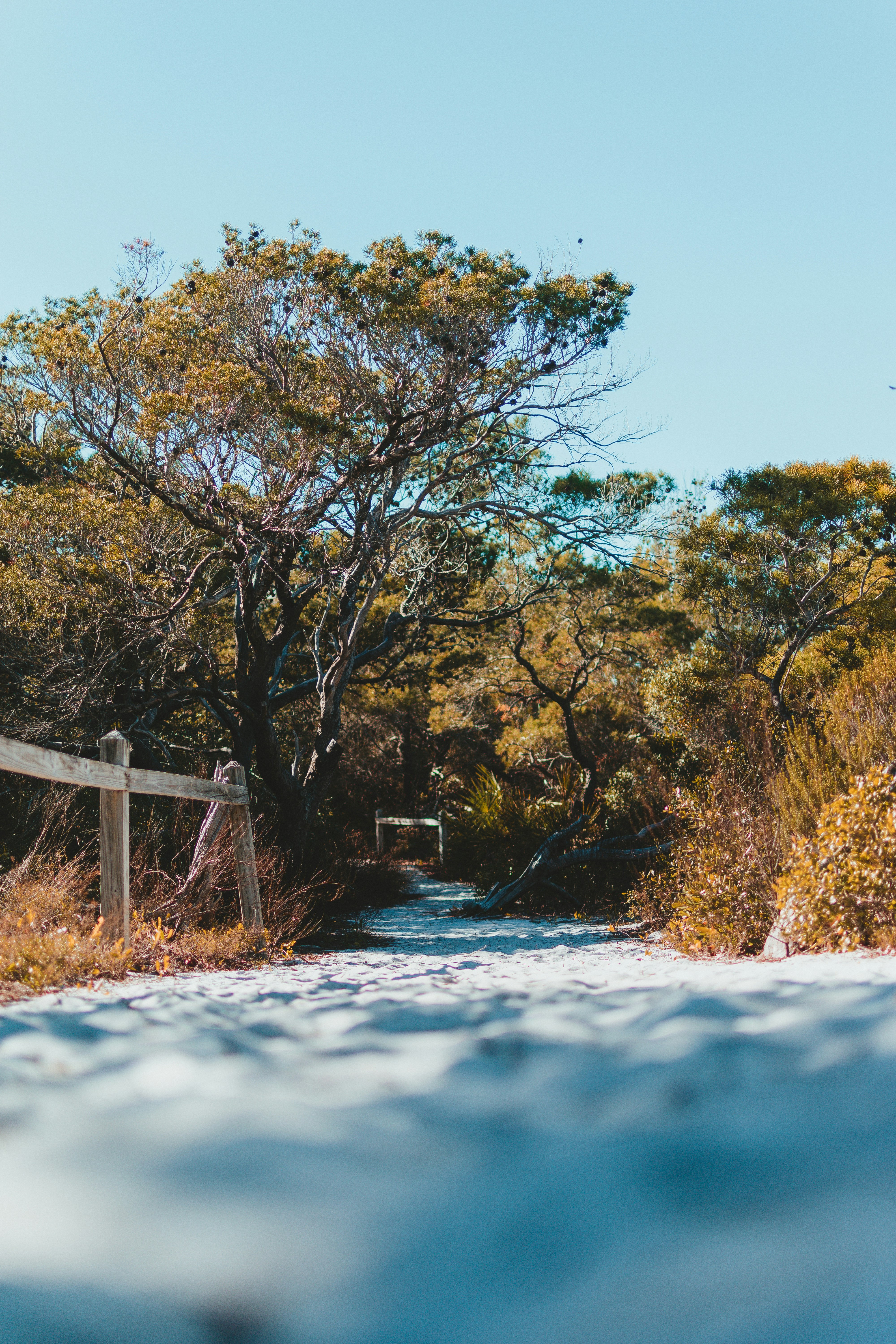 Photo by imsimplysamuel