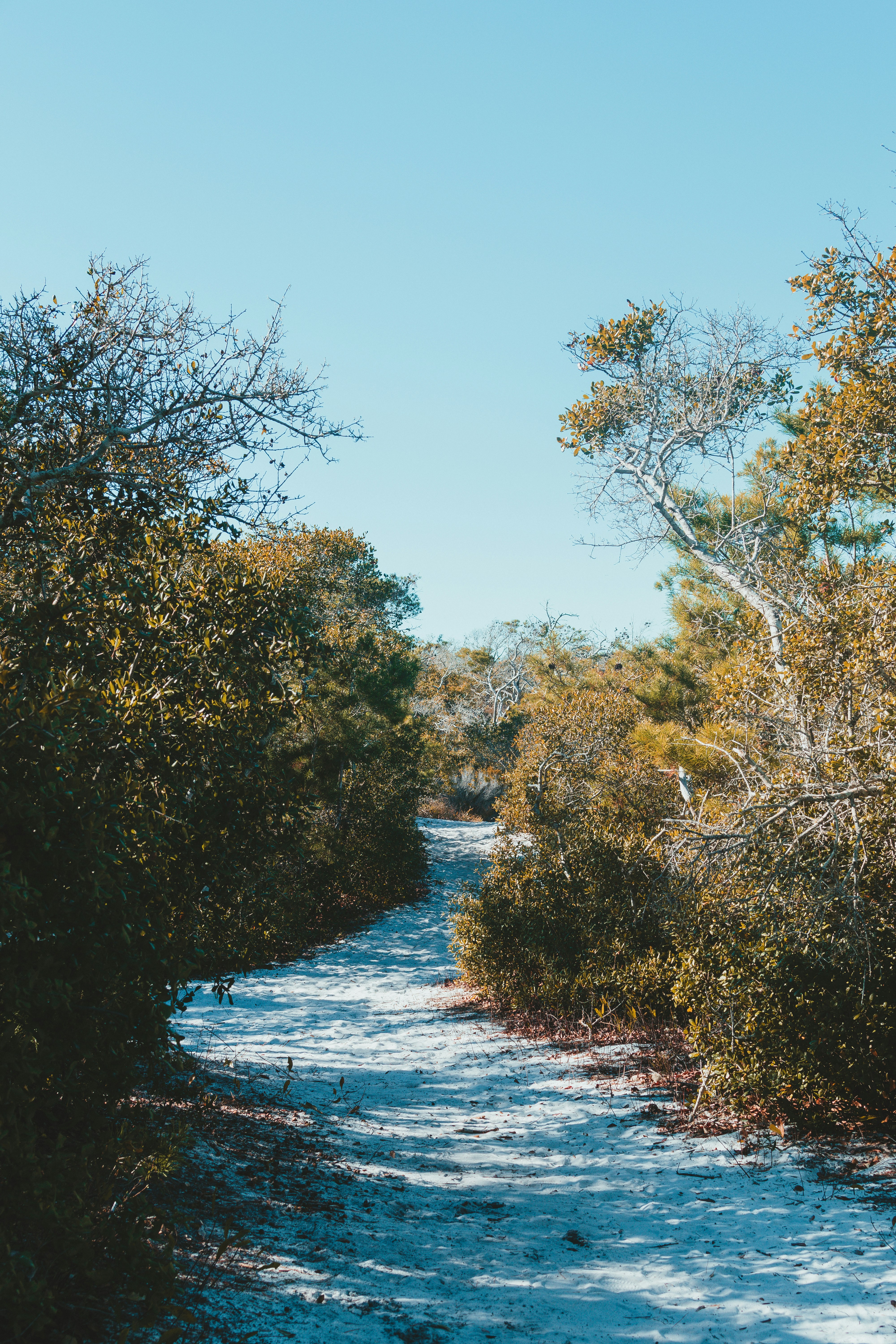 Photo by imsimplysamuel