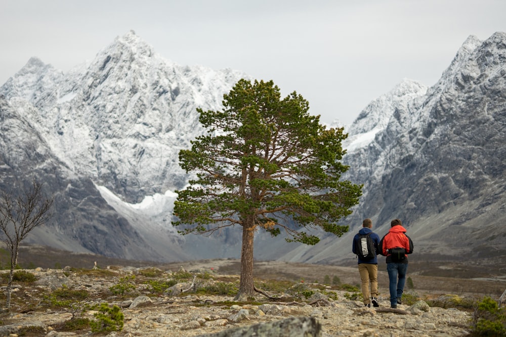 a couple of people standing next to a tree