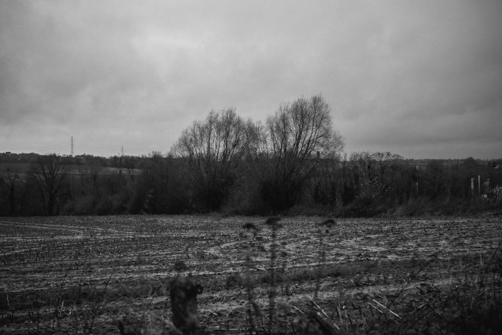 a black and white photo of a field