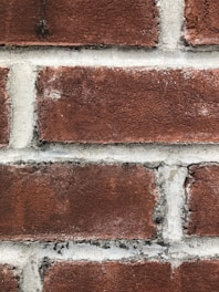 Close-up view of a red brick wall with gray mortar lines. The texture of the brick is rough and weathered, showing signs of wear with patches of darker red and slight white remnants. The mortar between the bricks appears uneven and slightly discolored.