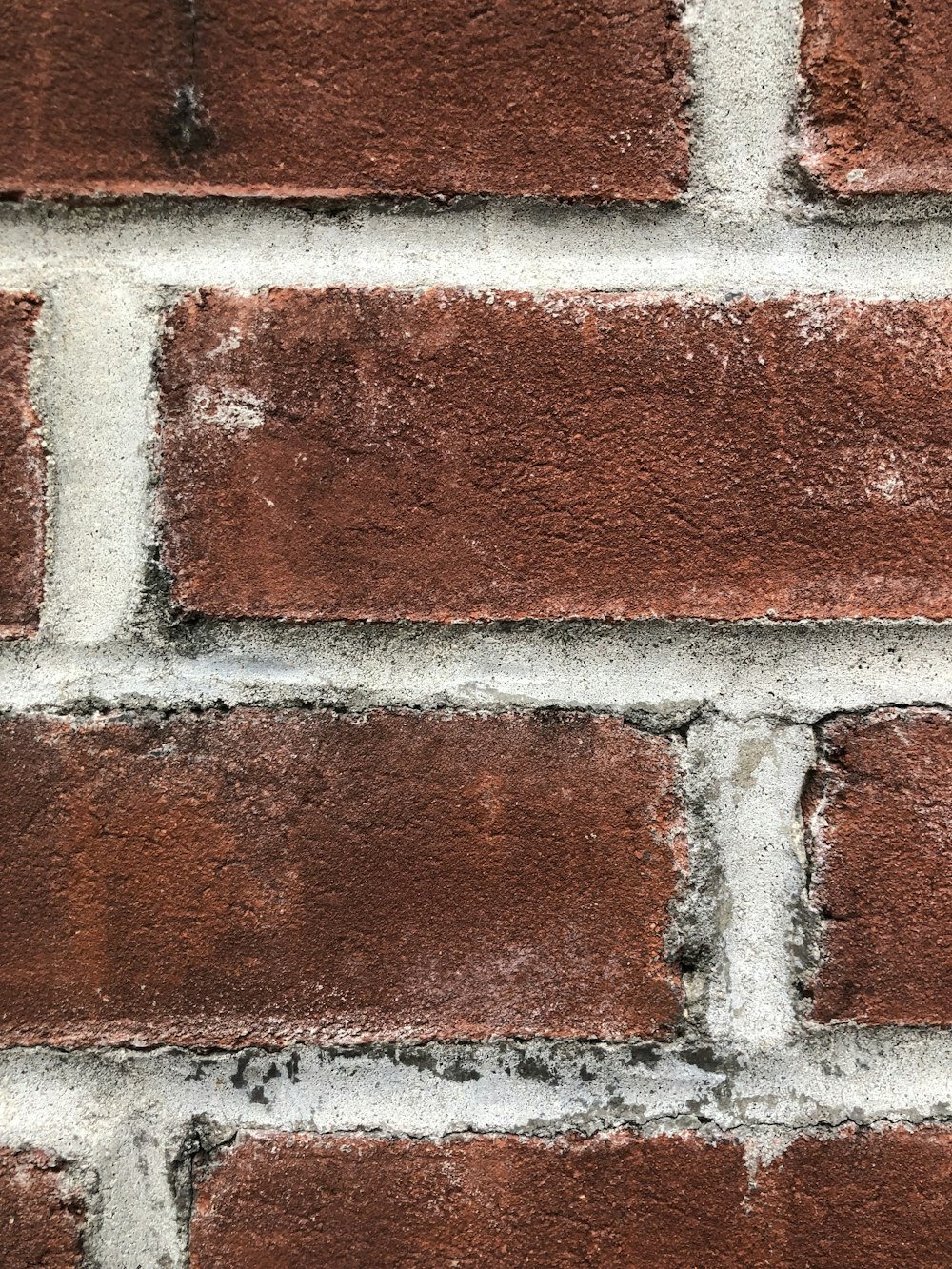 um close up de uma parede de tijolos vermelhos