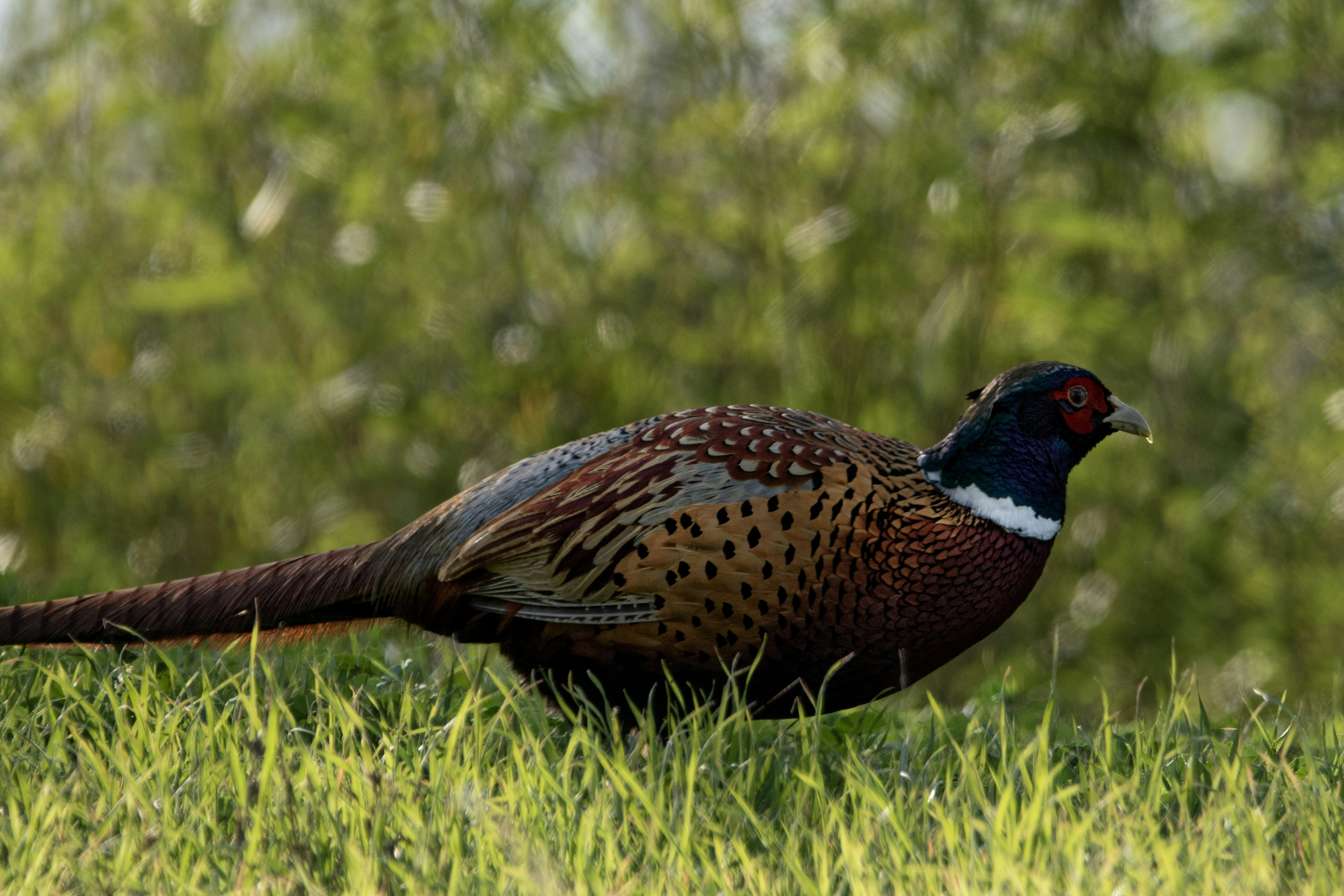 Photo by elisastonephotography