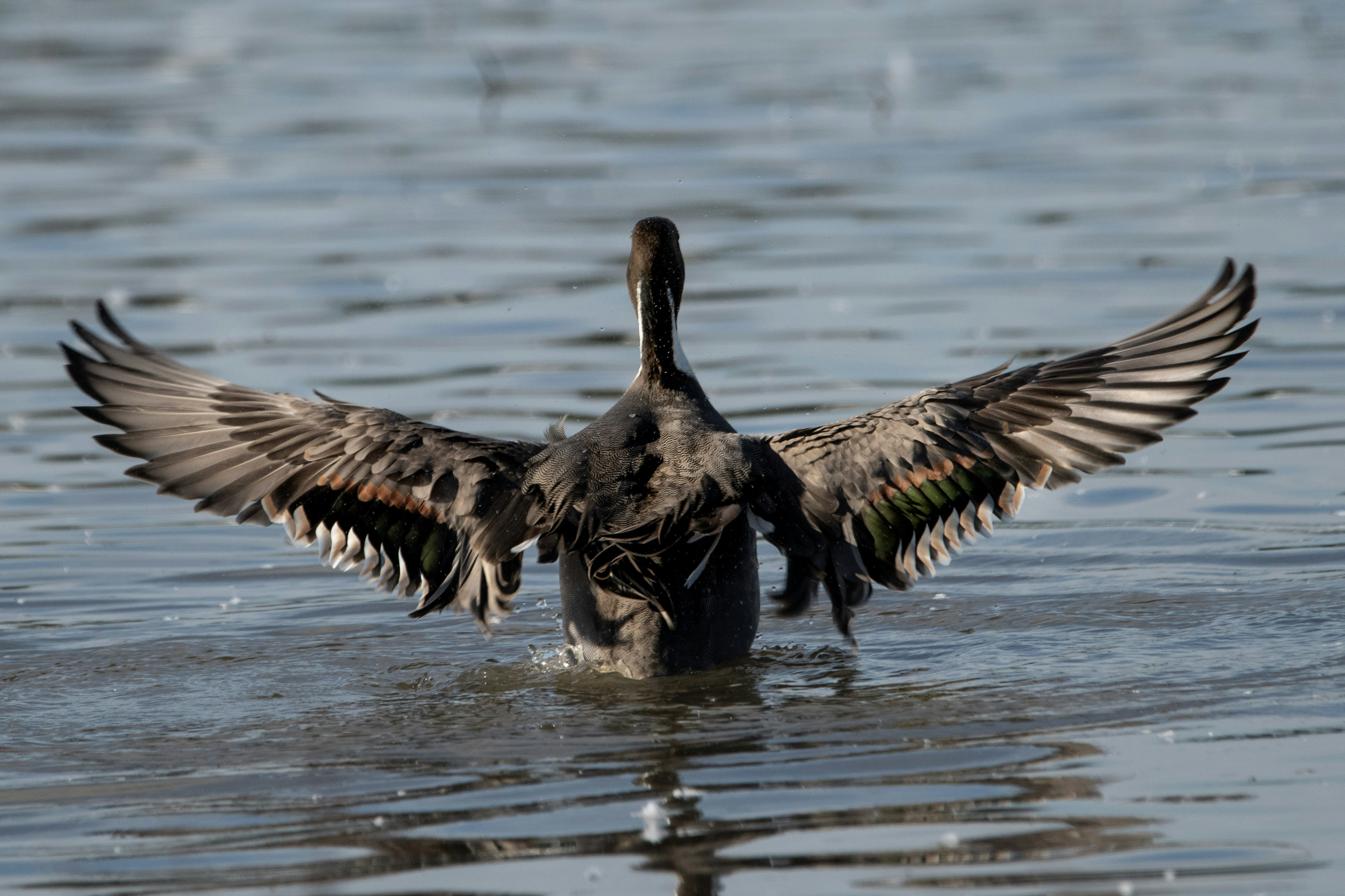 Photo by elisastonephotography