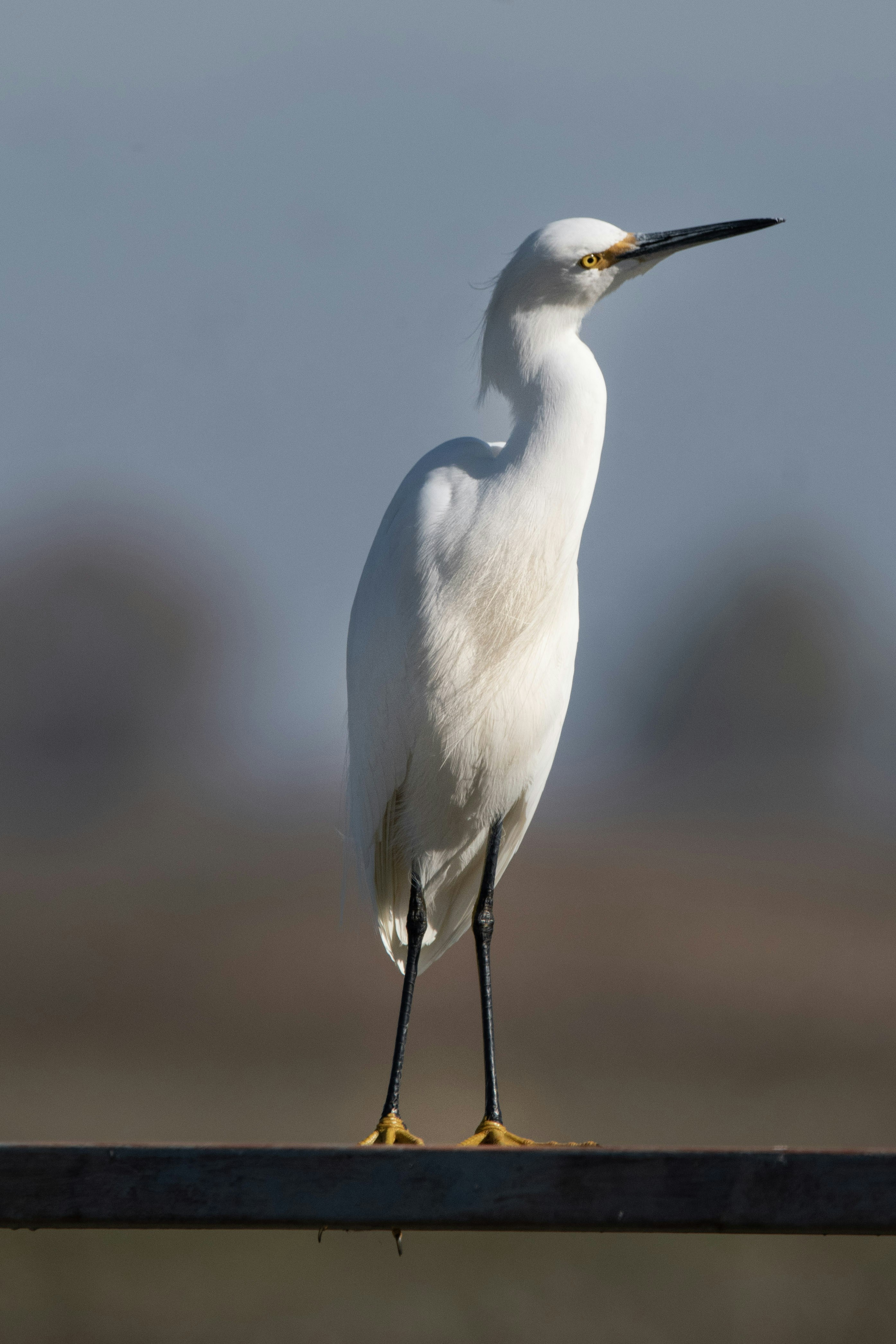 Photo by elisastonephotography