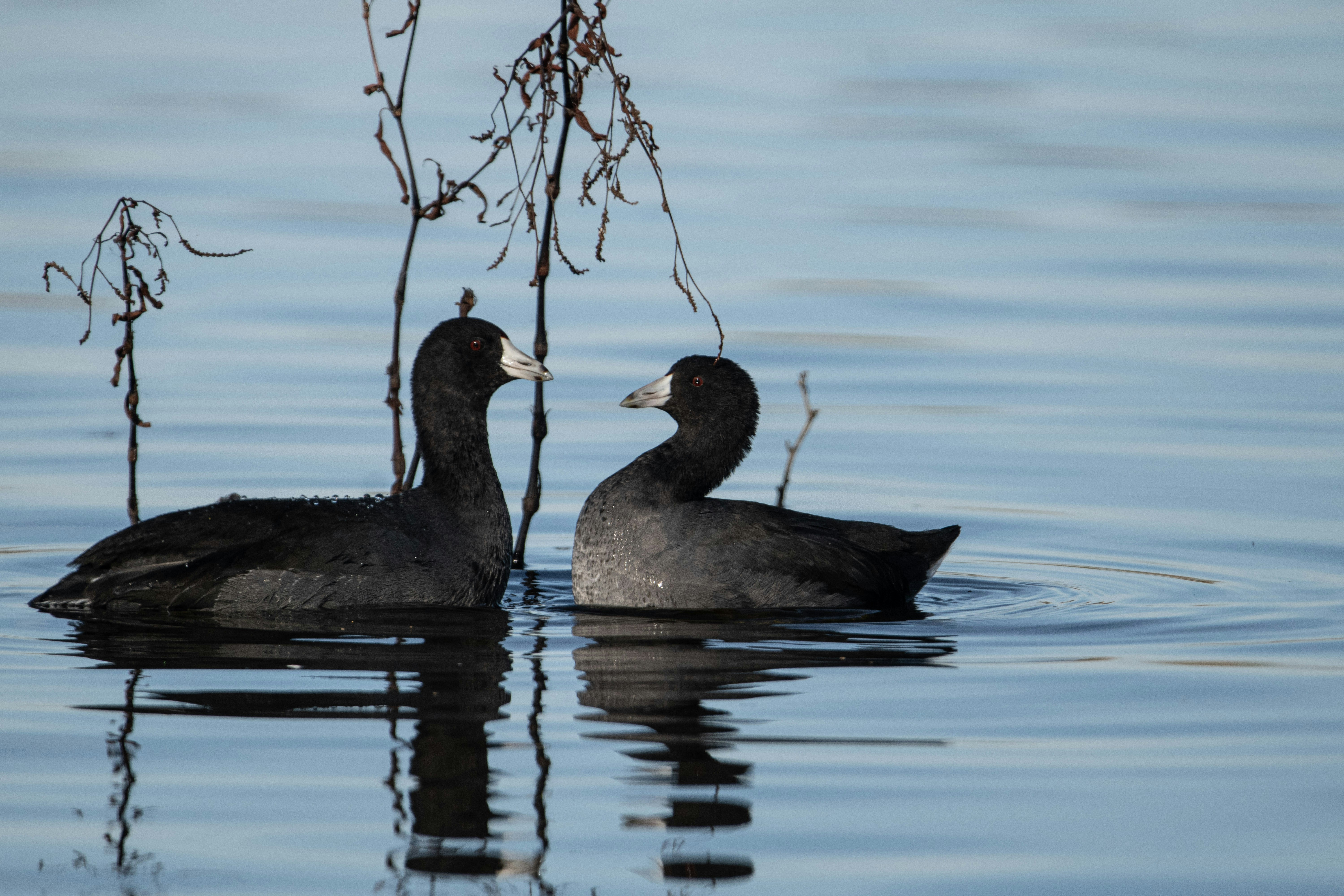 Photo by elisastonephotography