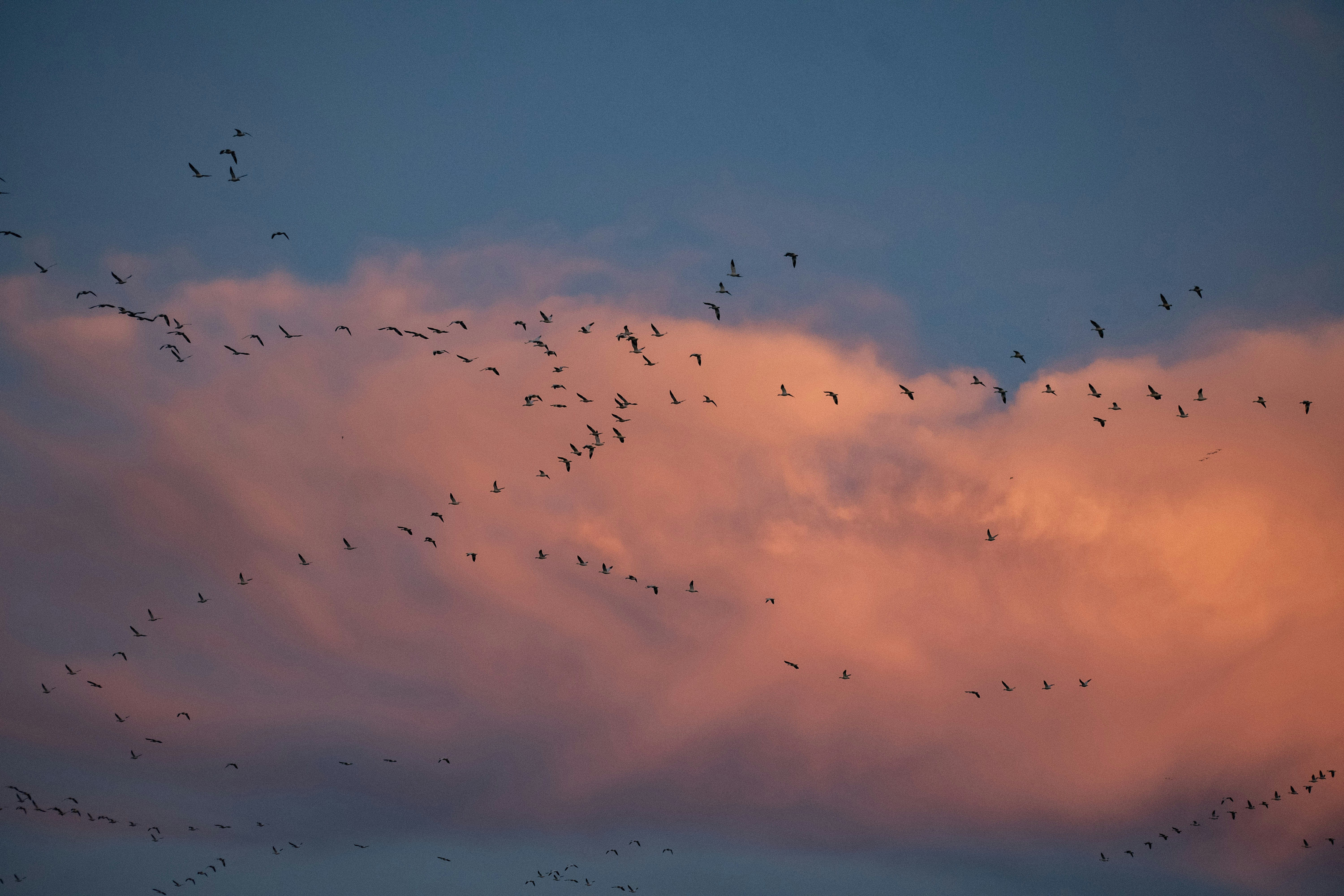 Photo by elisastonephotography