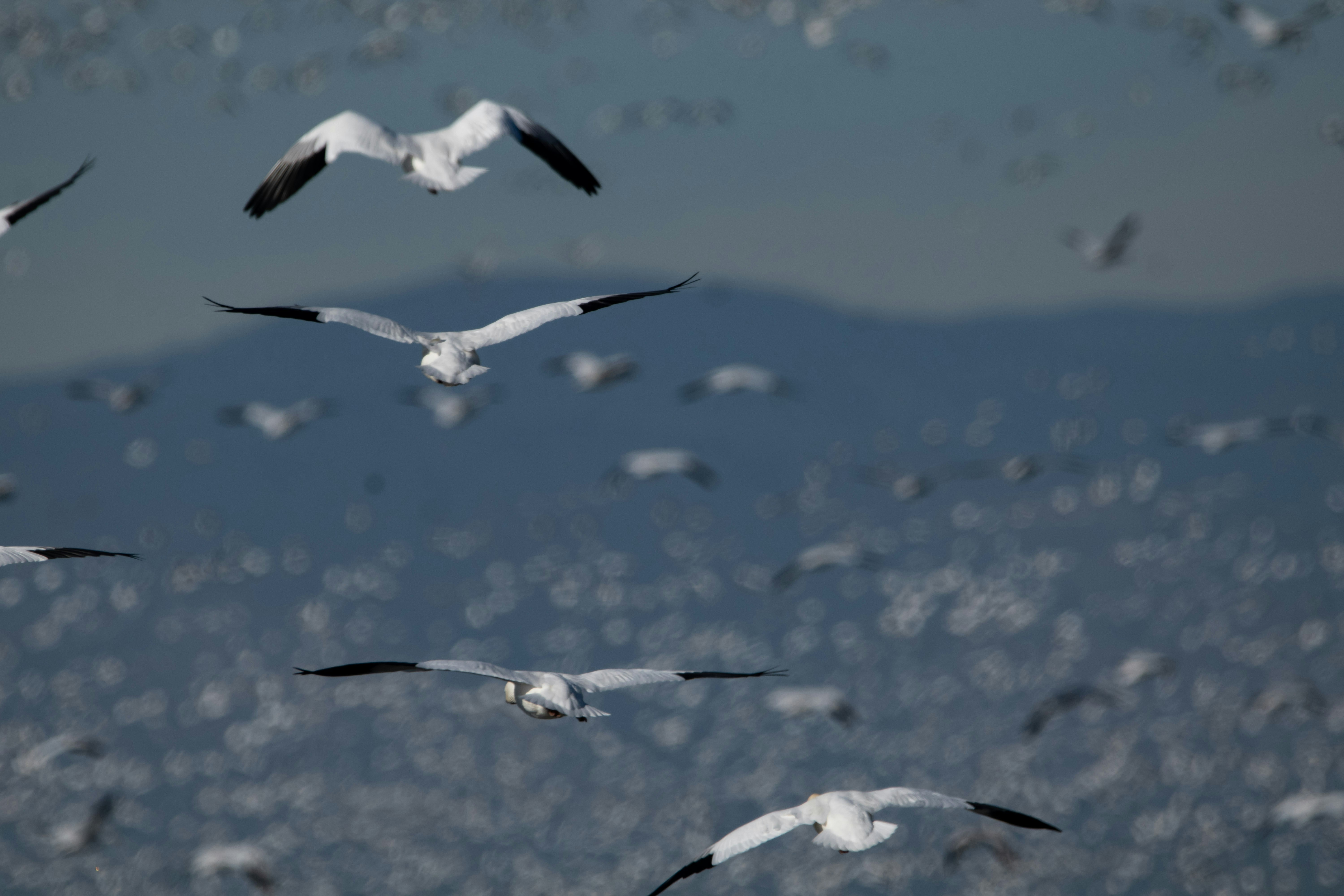 Photo by elisastonephotography