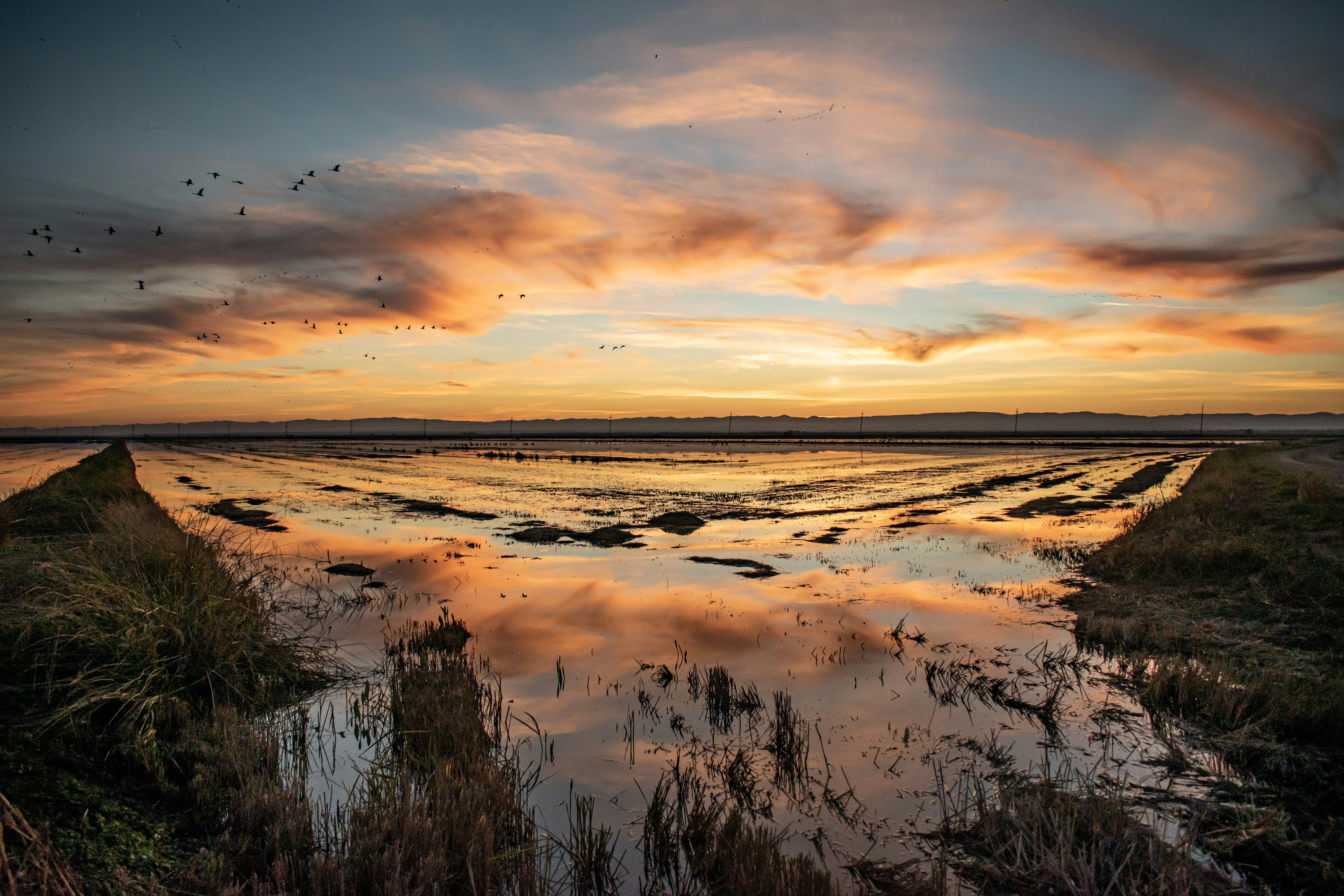 Photo by elisastonephotography