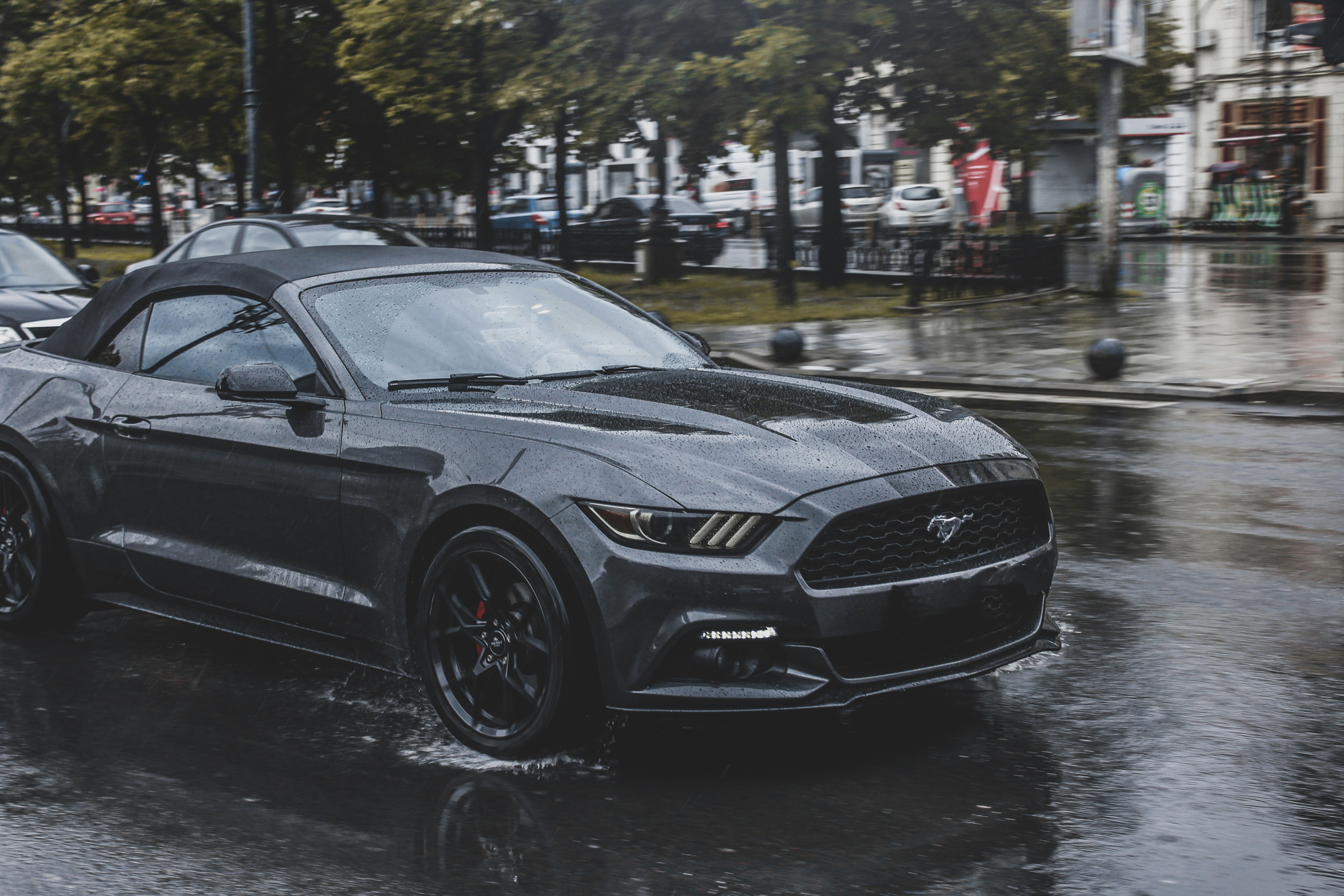 Photo by czapp_arpad