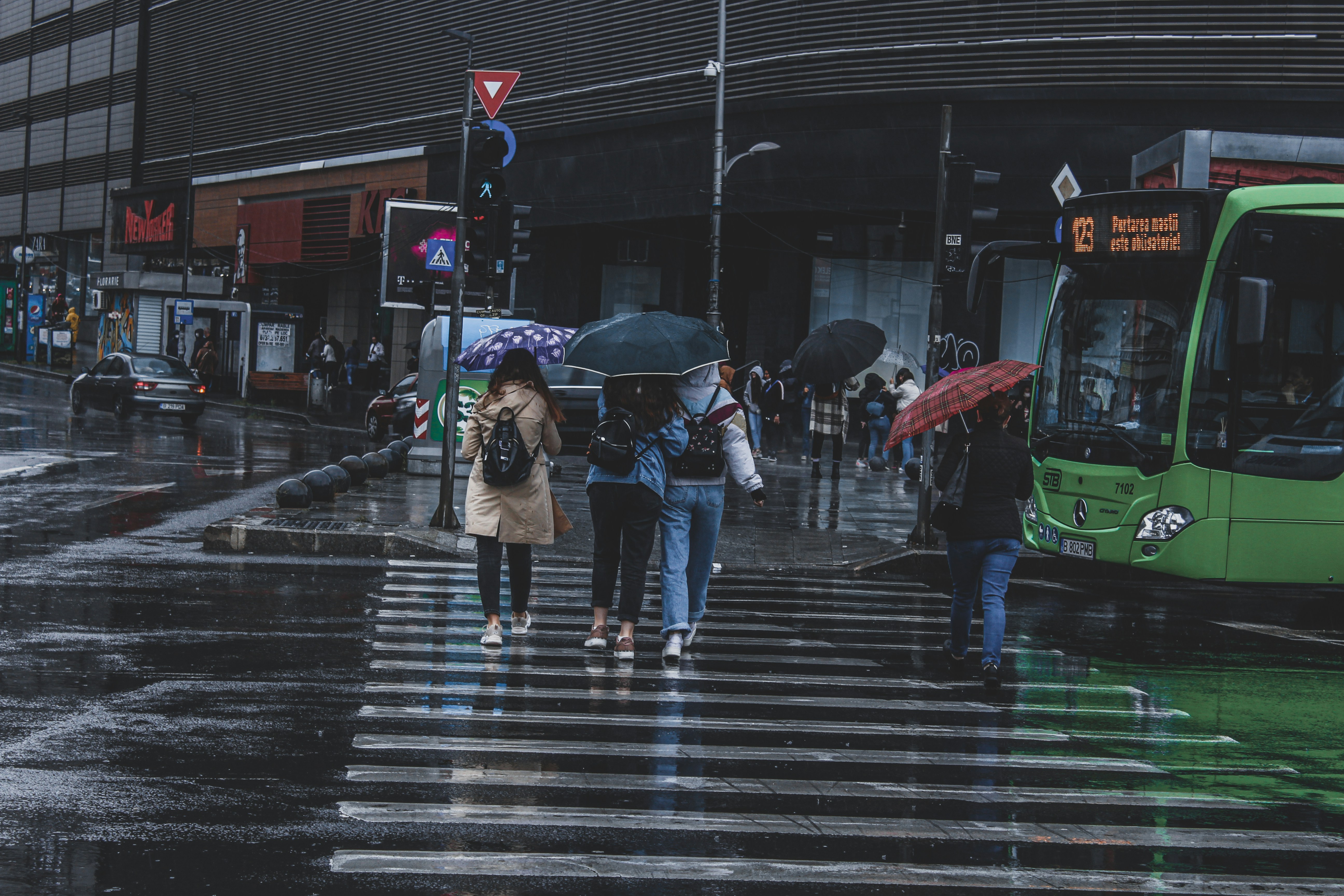 Photo by czapp_arpad