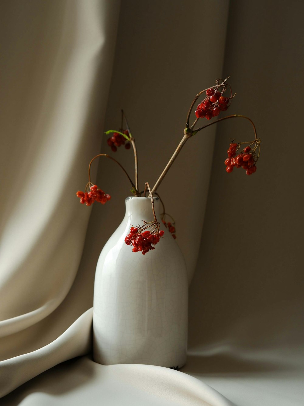 a white vase with some red flowers in it