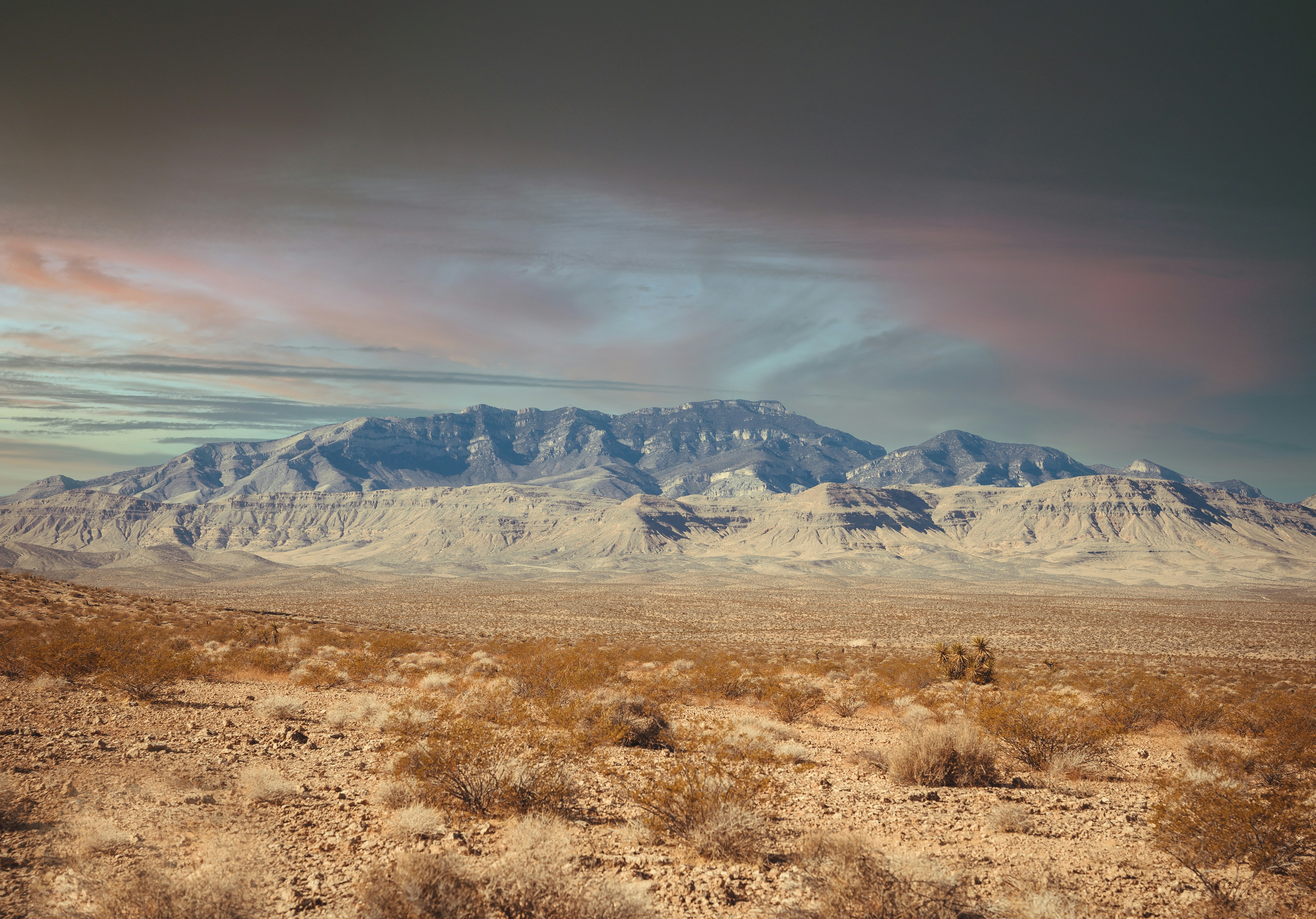 Photo by dimadallacqua