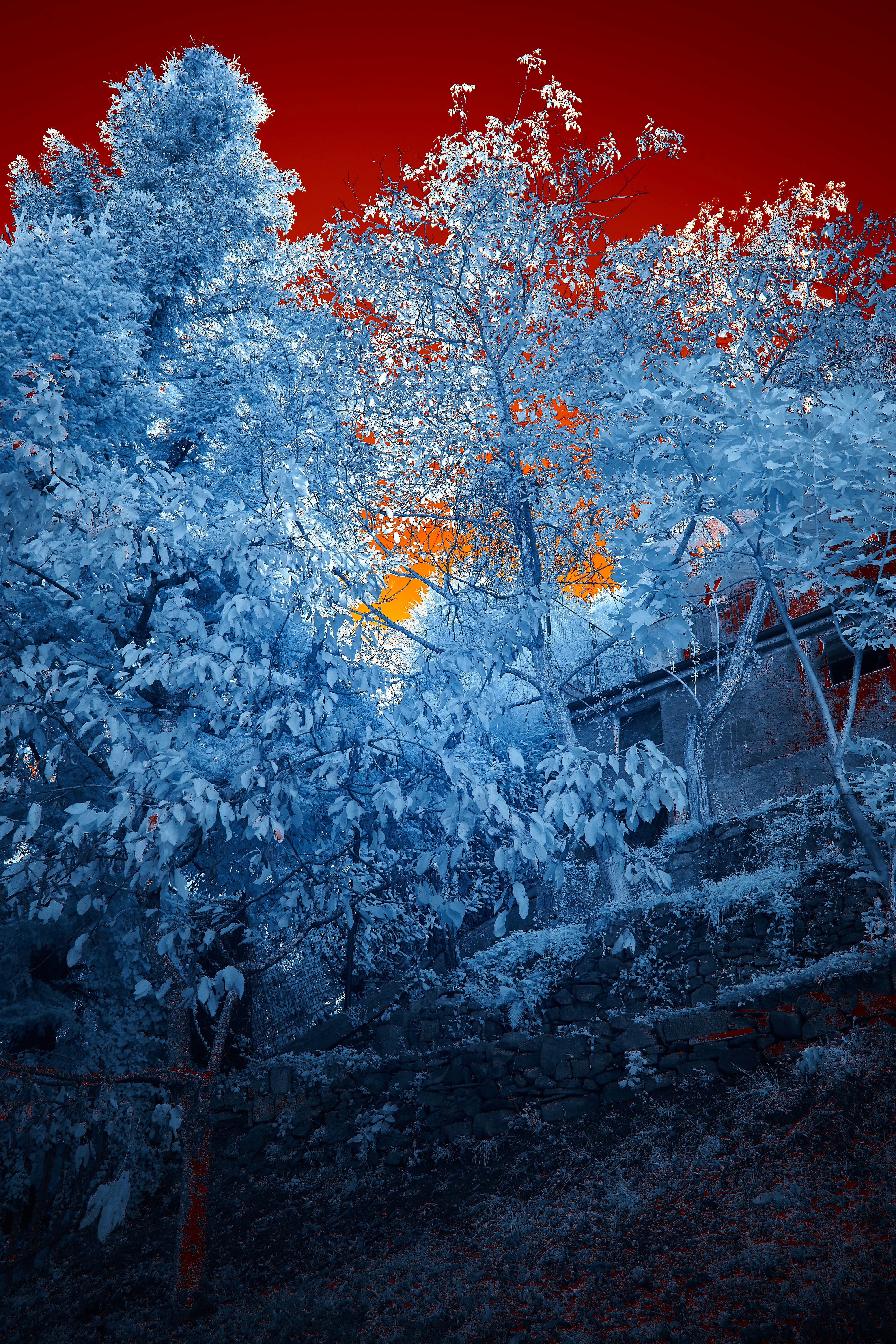 Photo by wolfgang_hasselmann