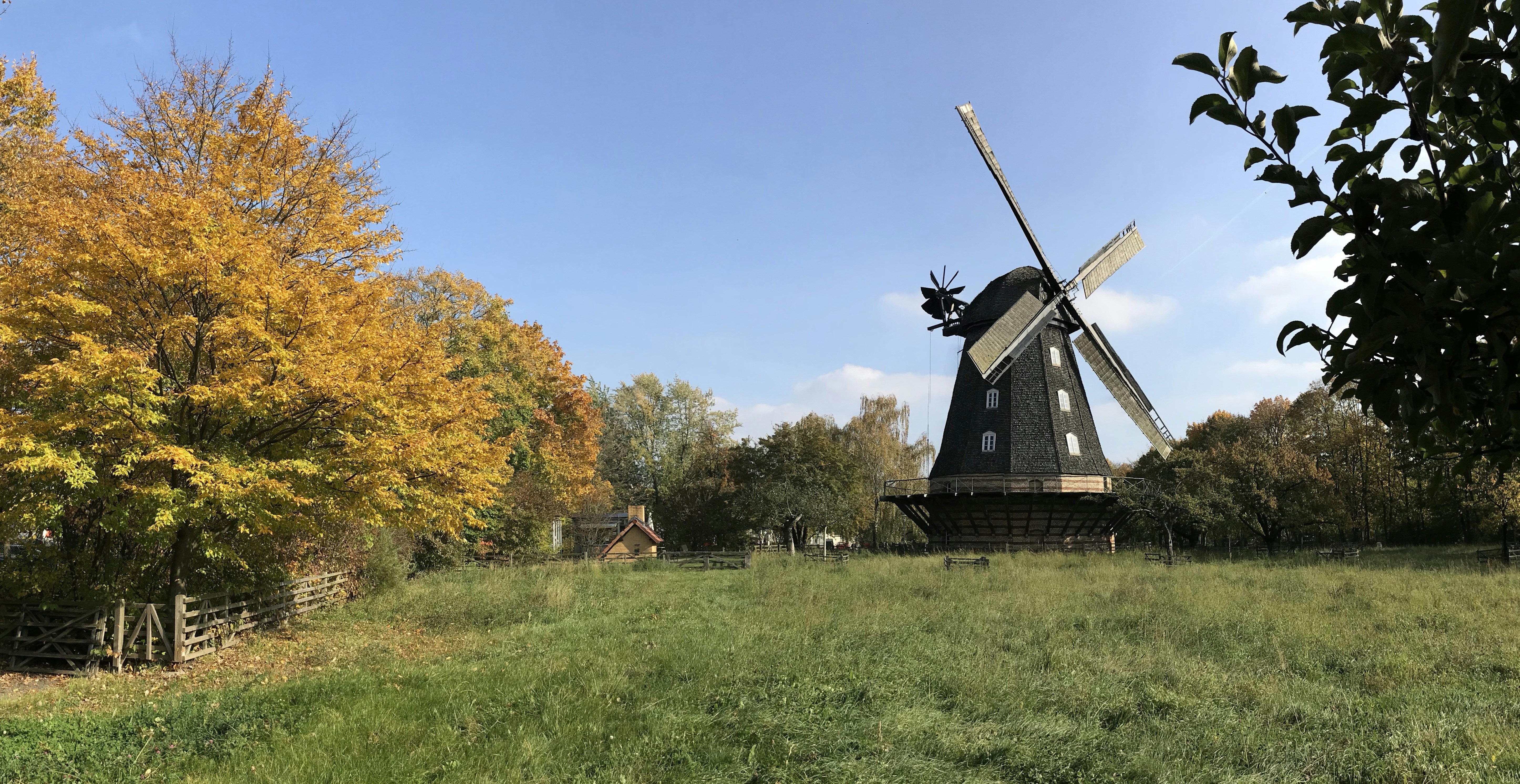 Photo by molino_gb_01