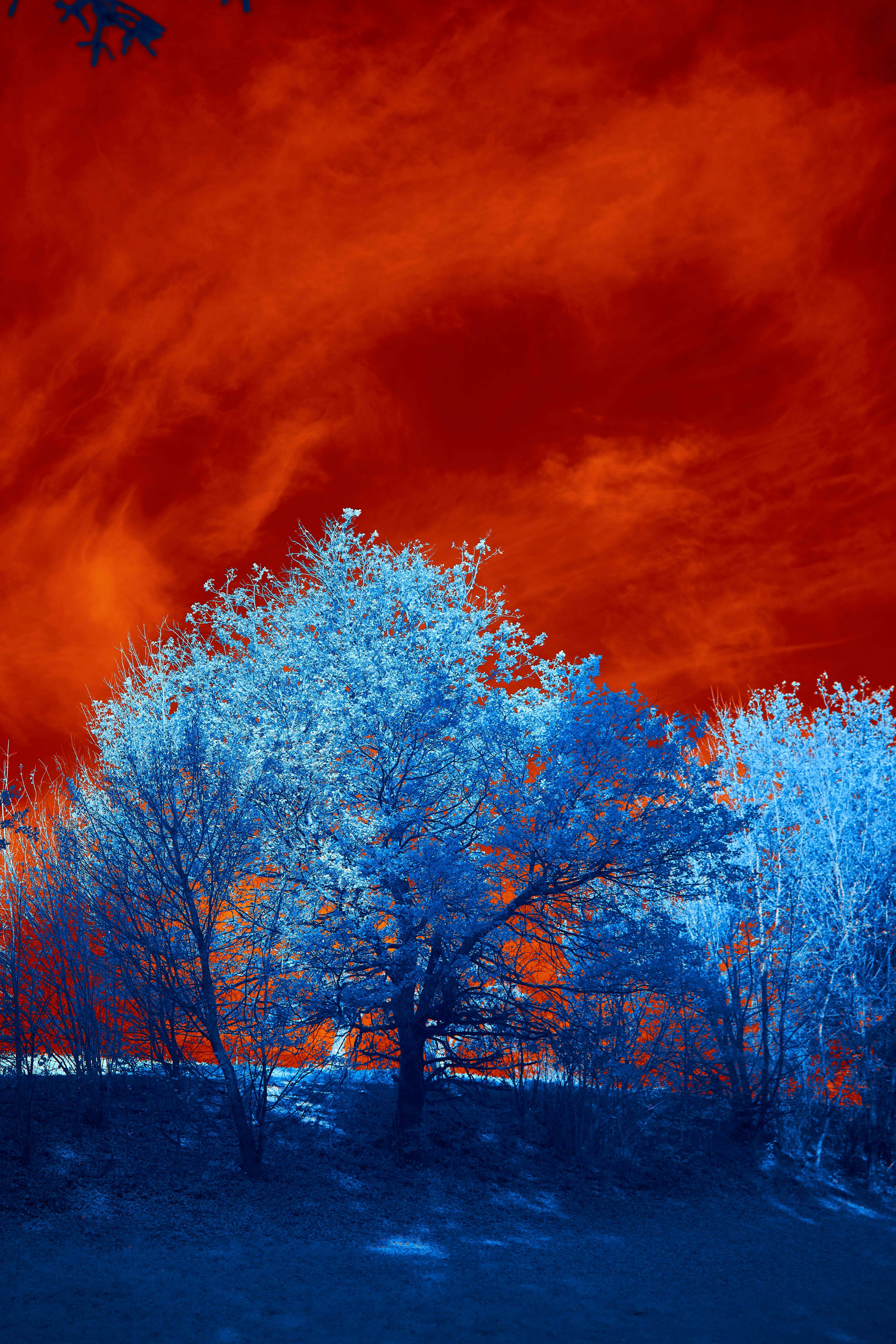 Photo by wolfgang_hasselmann