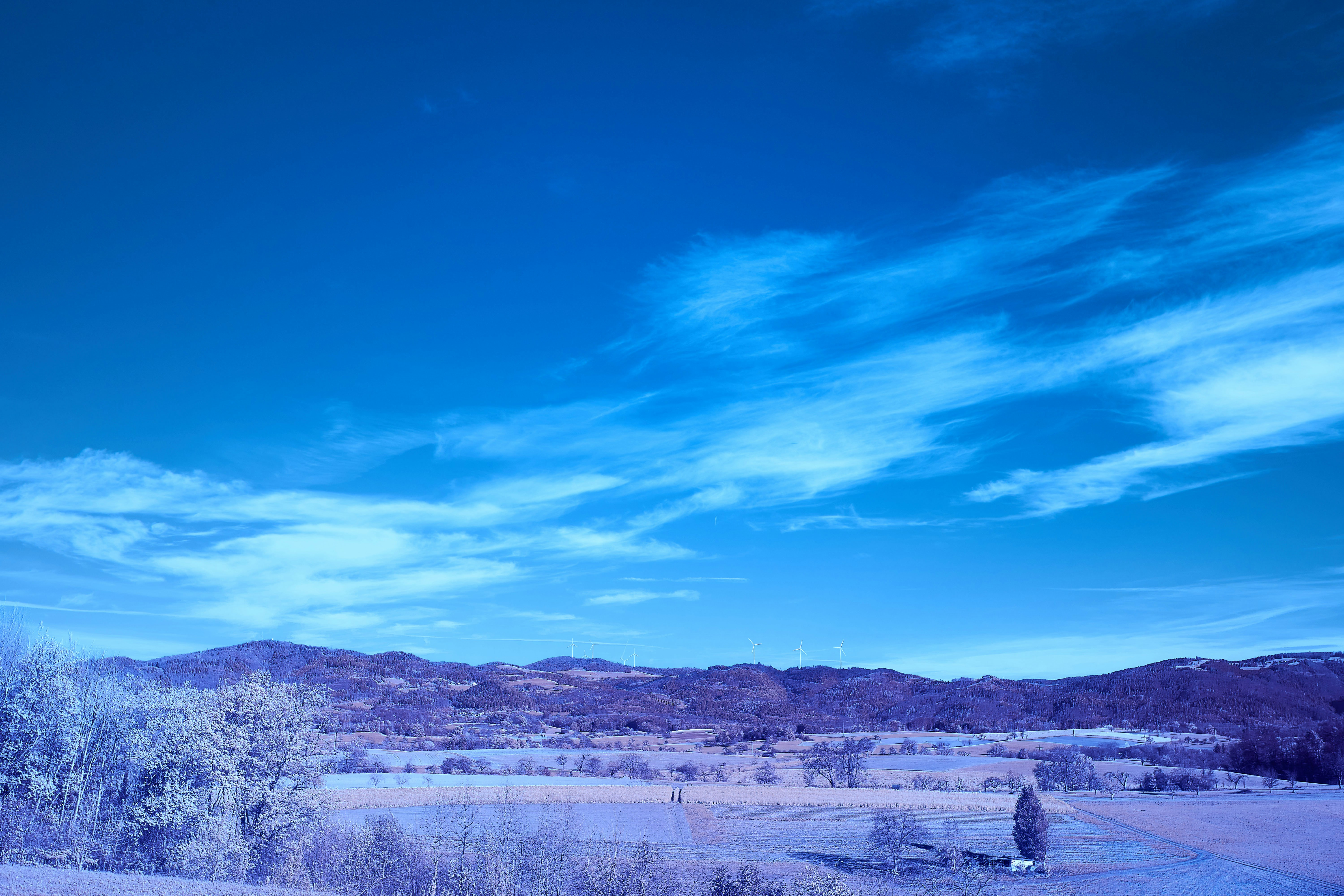 Photo by wolfgang_hasselmann