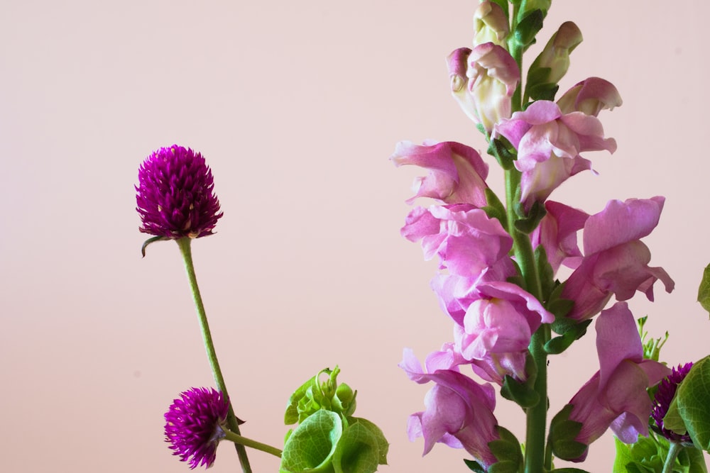 a vase filled with purple flowers on top of a table