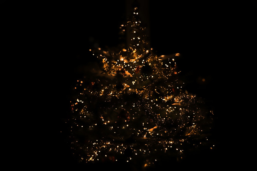 a lit up christmas tree in the dark