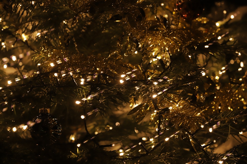 a close up of a christmas tree with lights