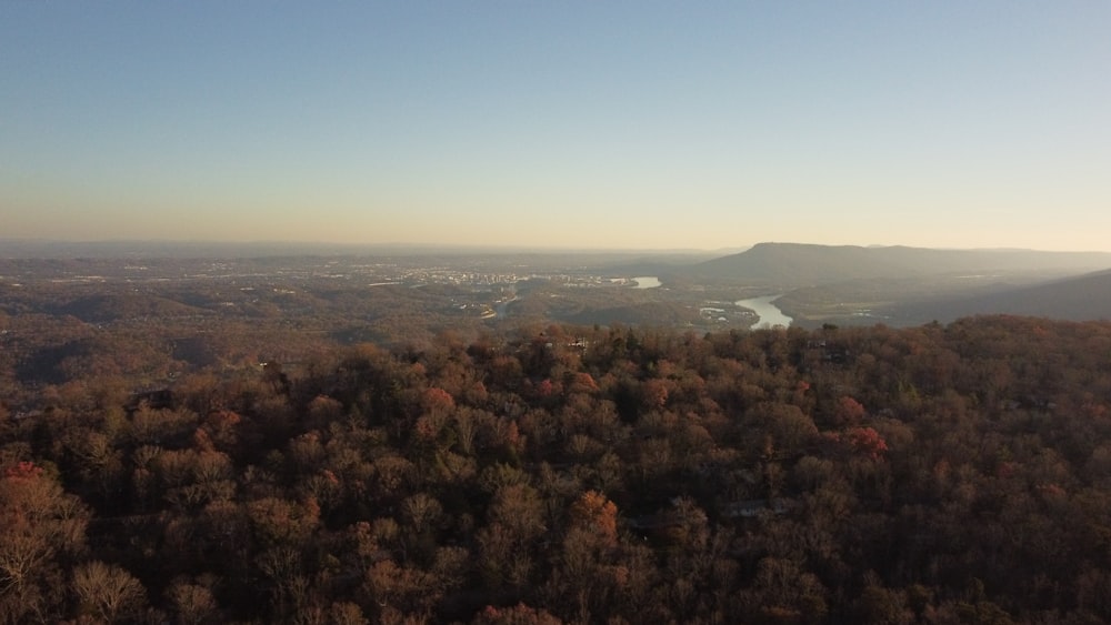 an aerial view of a wooded area with a river in the distance