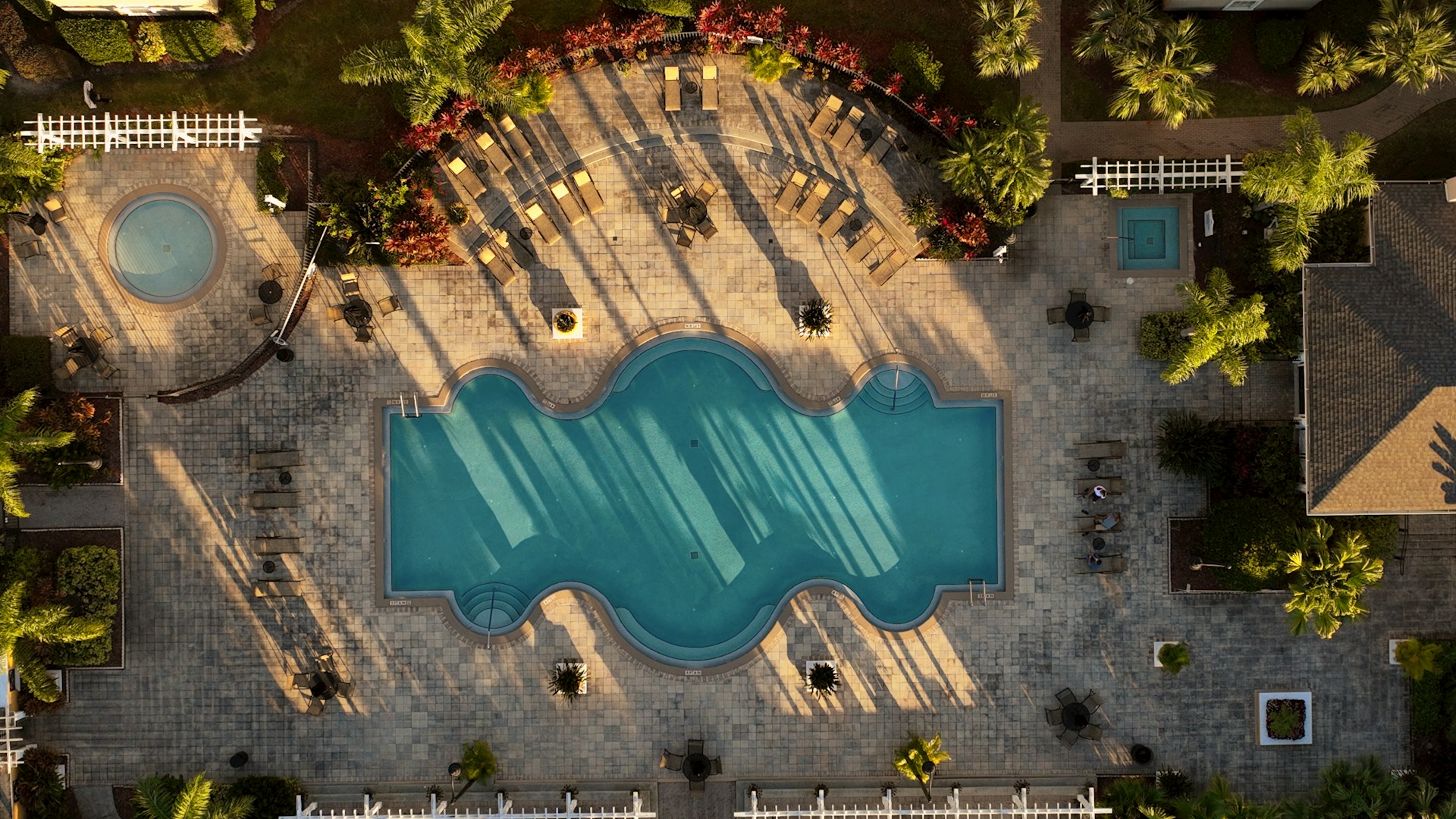 an aerial view of a swimming pool surrounded by palm trees