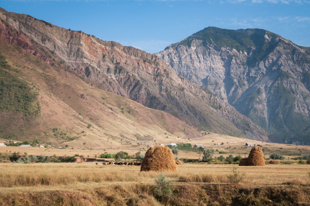 a field with a mountain in the background