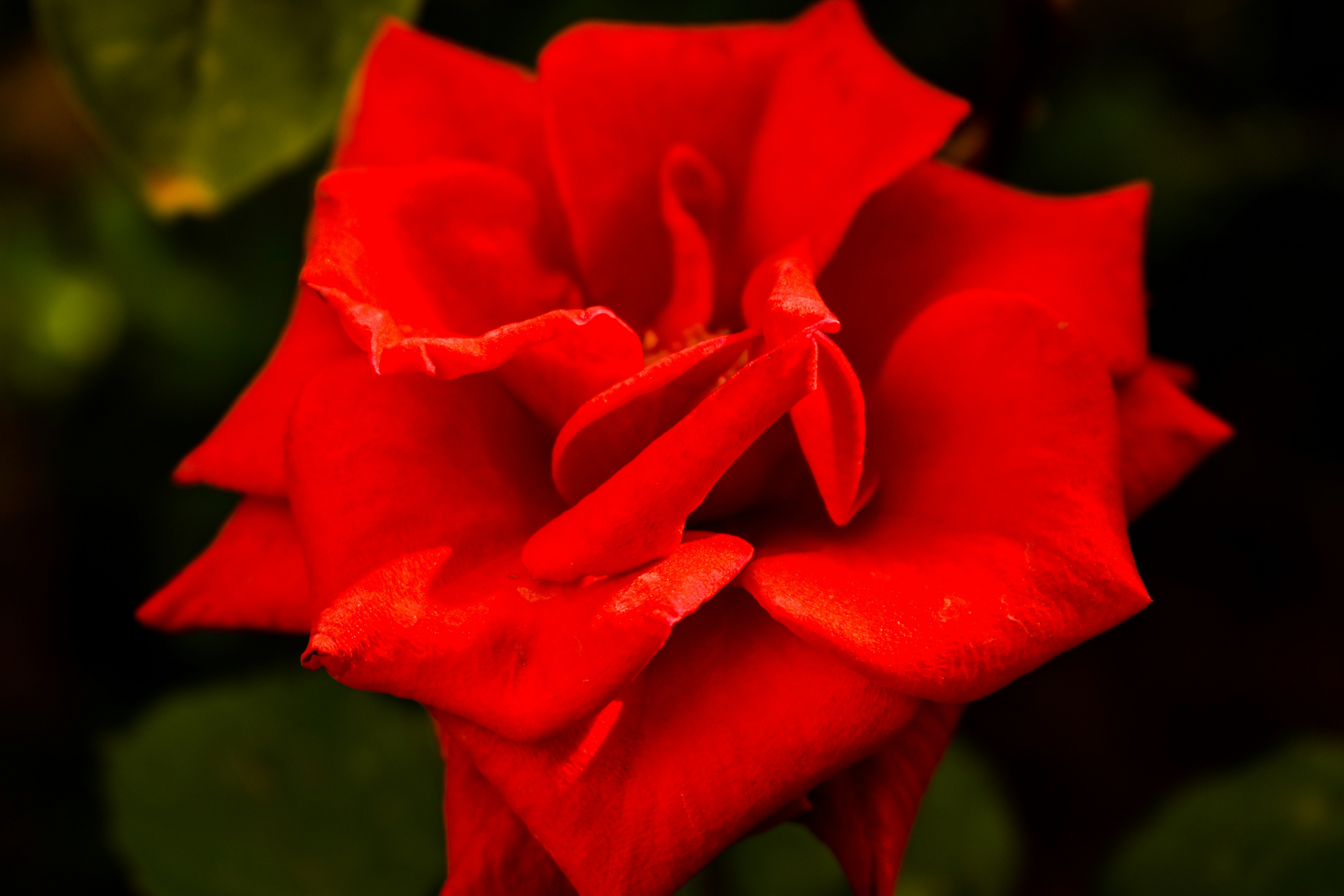 Photo by rtldtu05