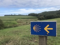 A grassy landscape with a blue signpost featuring a yellow arrow pointing left and a symbol of a scallop shell, indicating a direction. Fields of crops and a line of trees are visible under a partly cloudy sky.