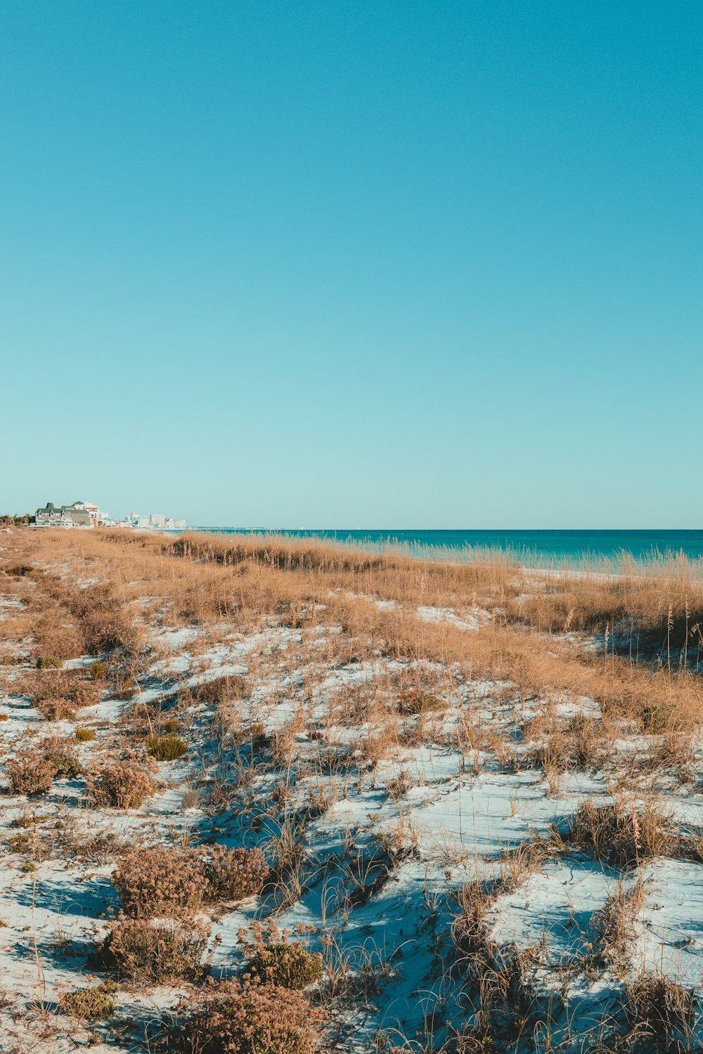 a sandy beach covered in snow next to the ocean