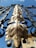 A close-up of a beautifully crafted metal gate with intricate designs.