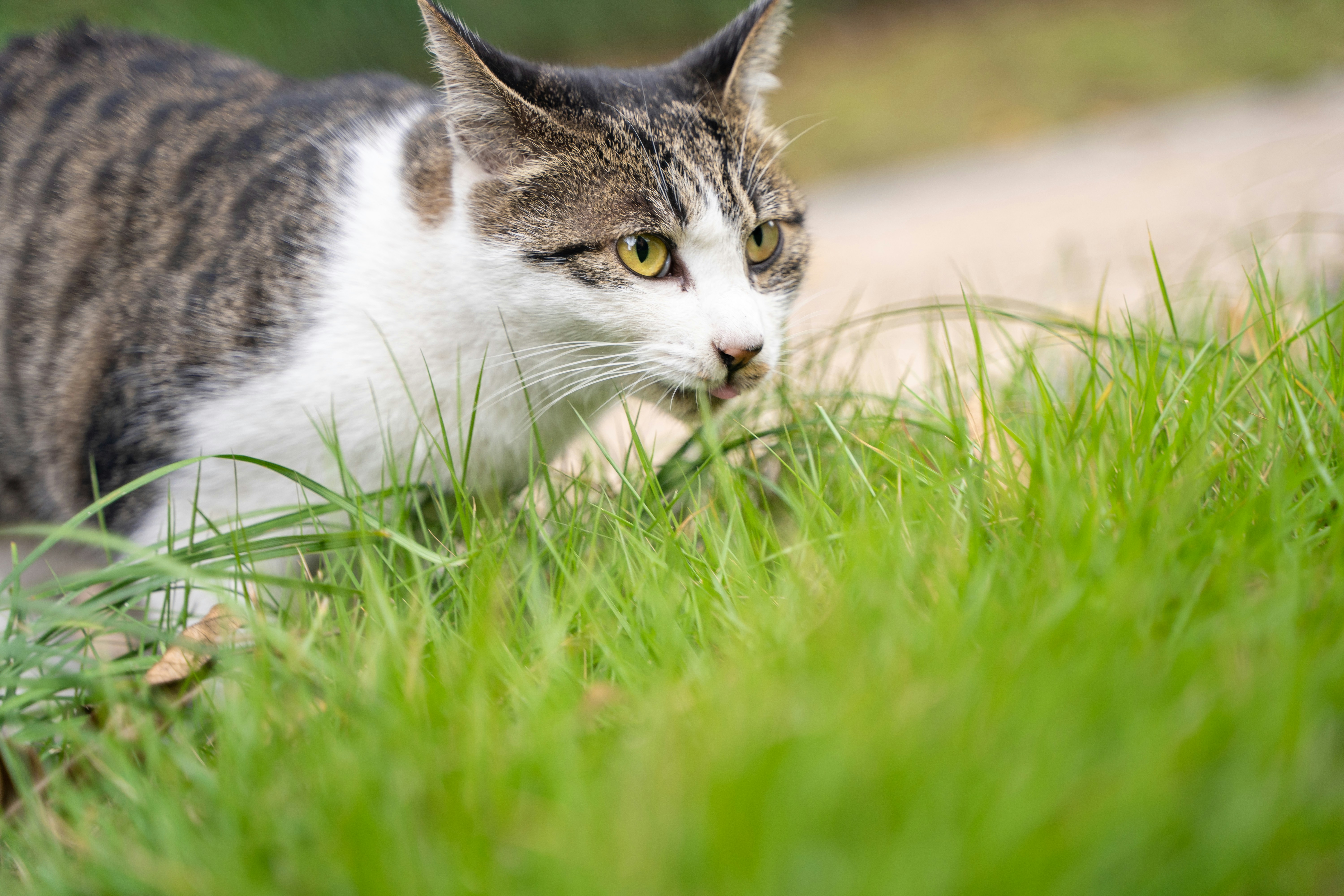 Photo by yooho962464