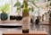 A bottle of Cobbam Estate garlic infused Australian extra virgin olive oil is placed on a wooden cutting board in a kitchen setting. The background features blurred greenery and kitchen items, creating a cozy and natural atmosphere.