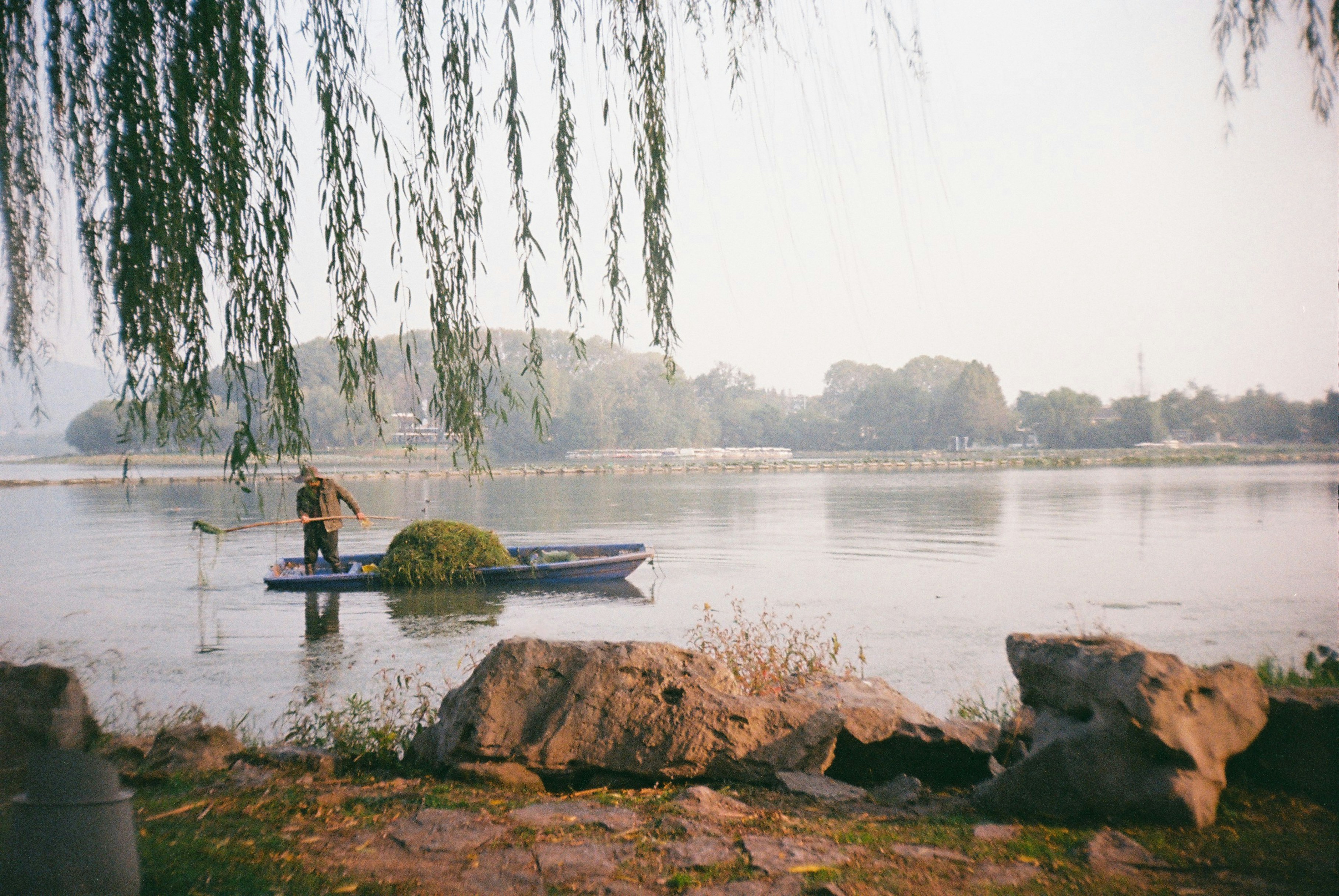 Photo by chenxiaohei