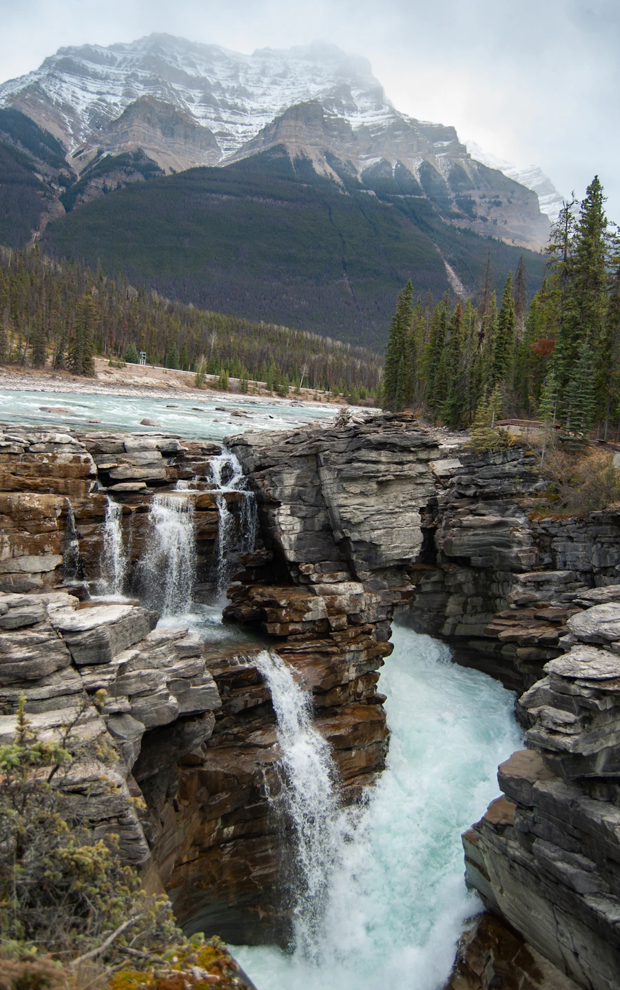 Athabasca Falls in Jasper National Park — powerful waterfalls cascading through canyon walls with mountain peaks visible
