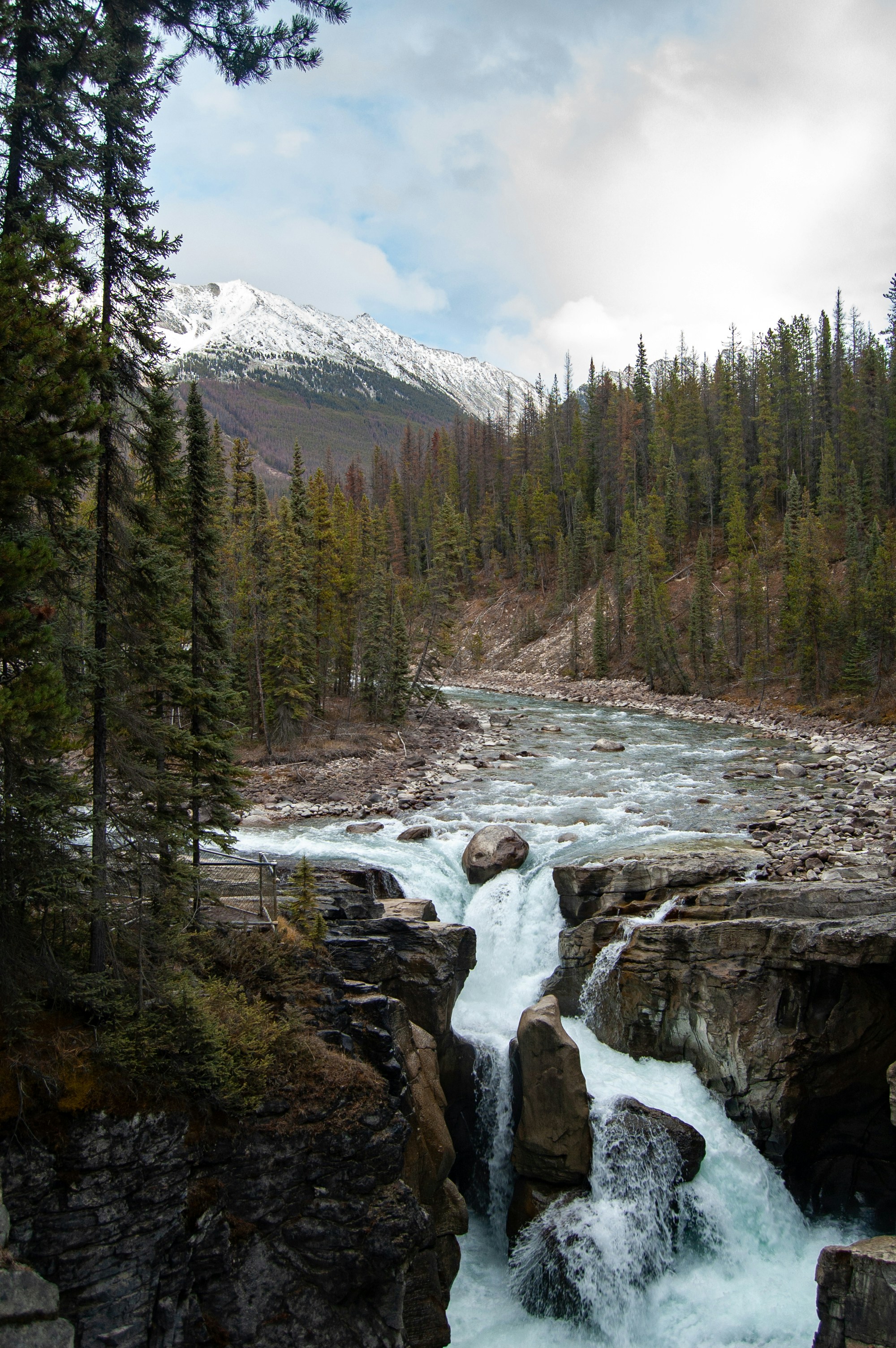 Photo by dbeausoleil