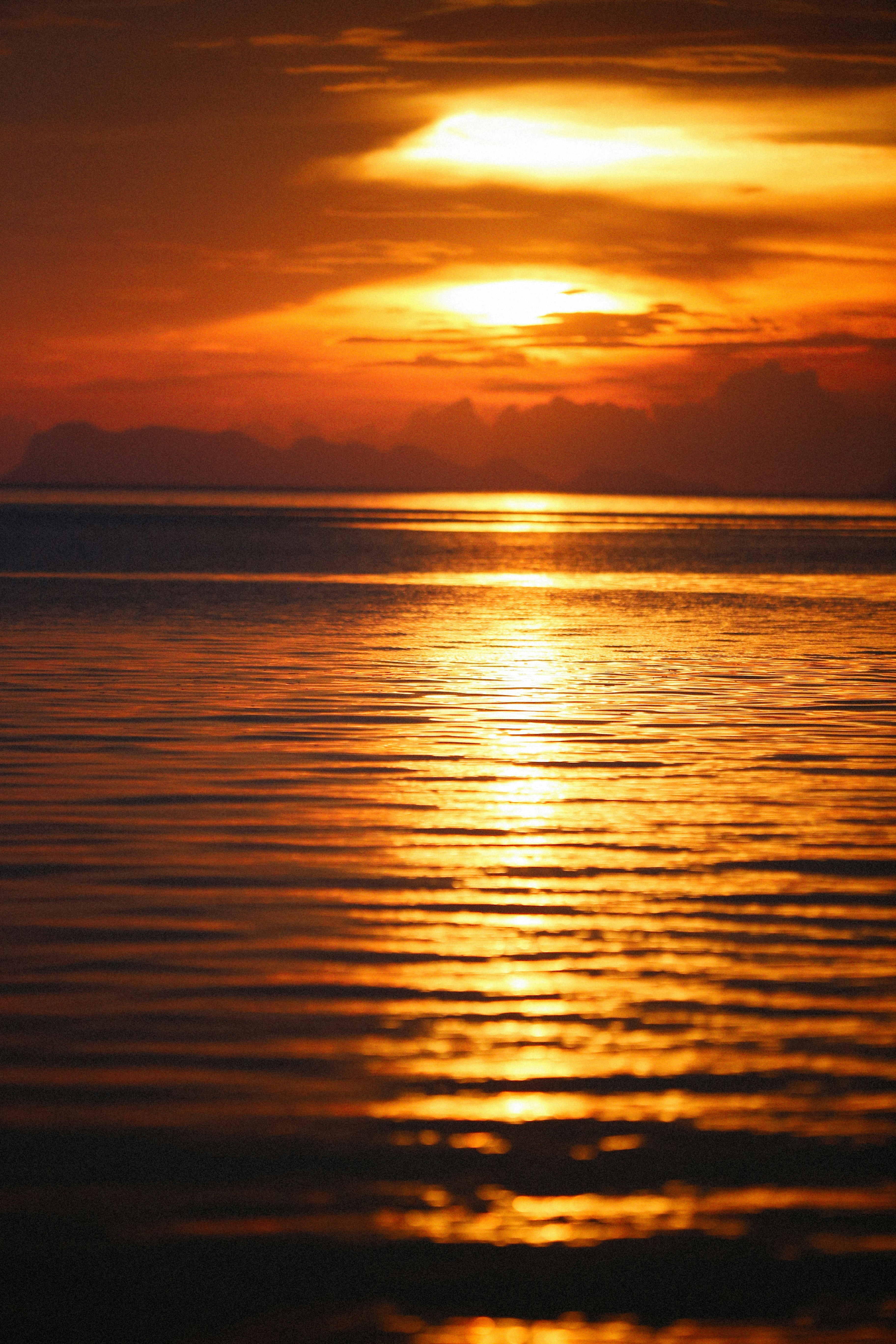 Photo by alexeydemidov