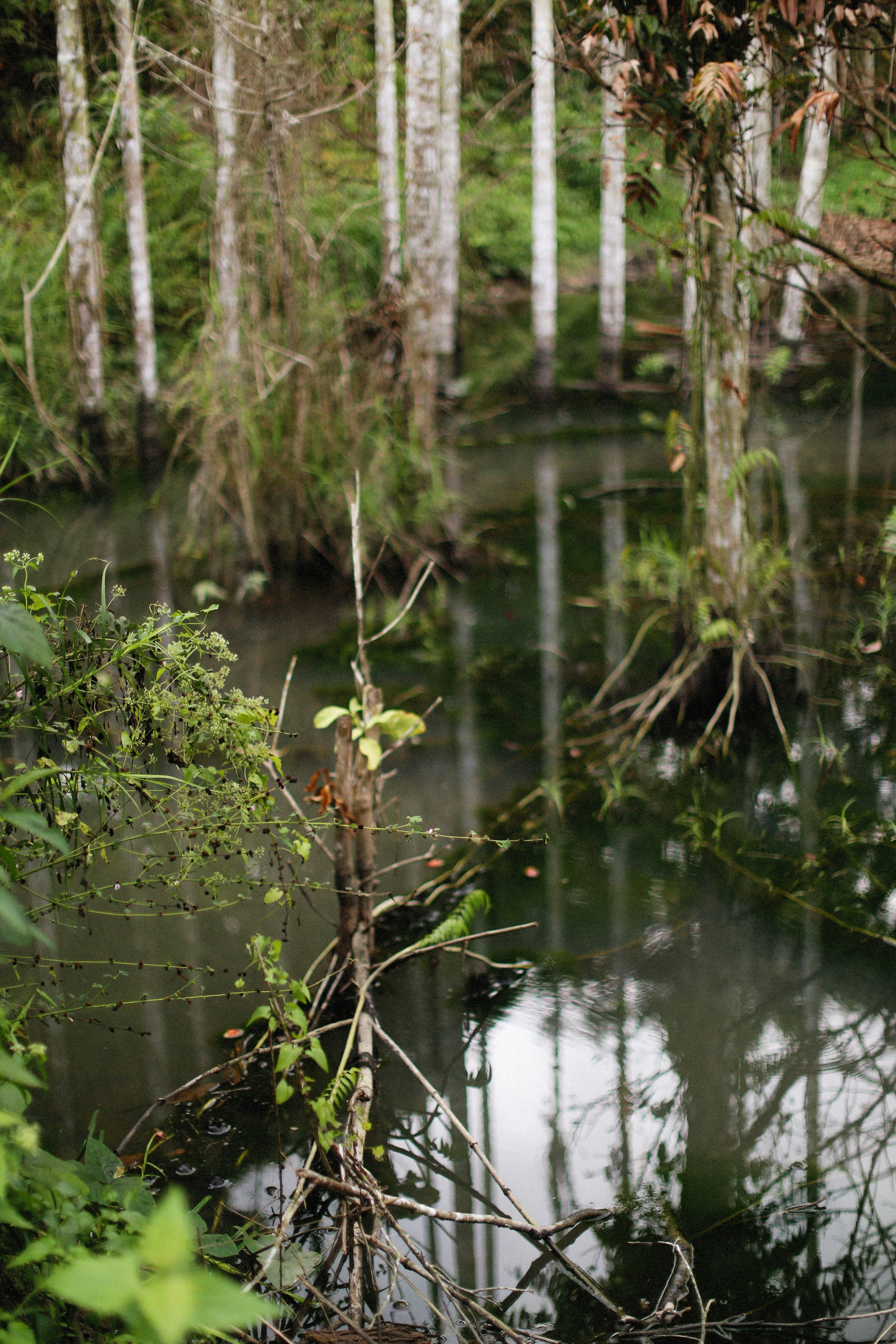 Photo by alexeydemidov