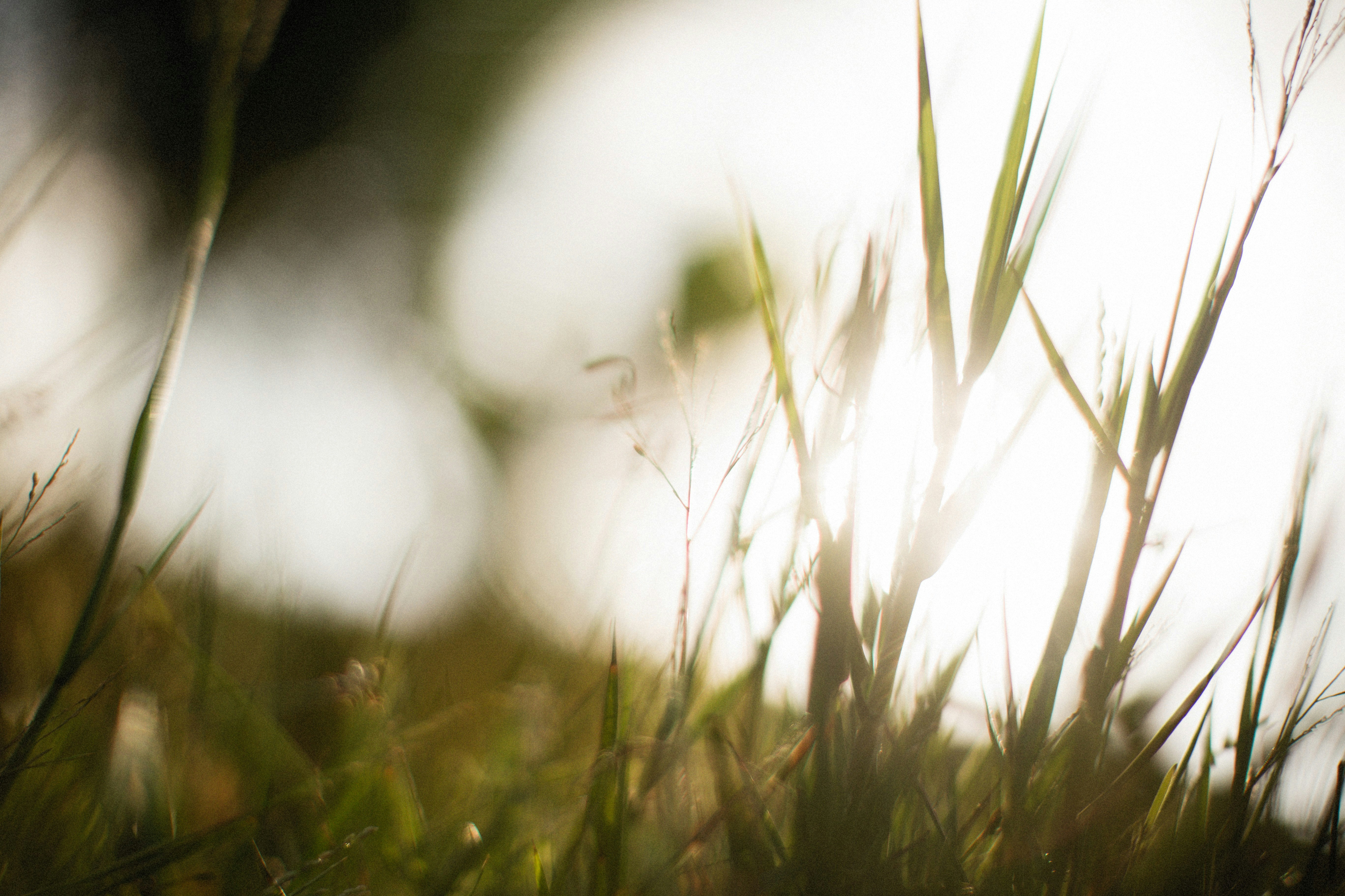 Photo by alexeydemidov