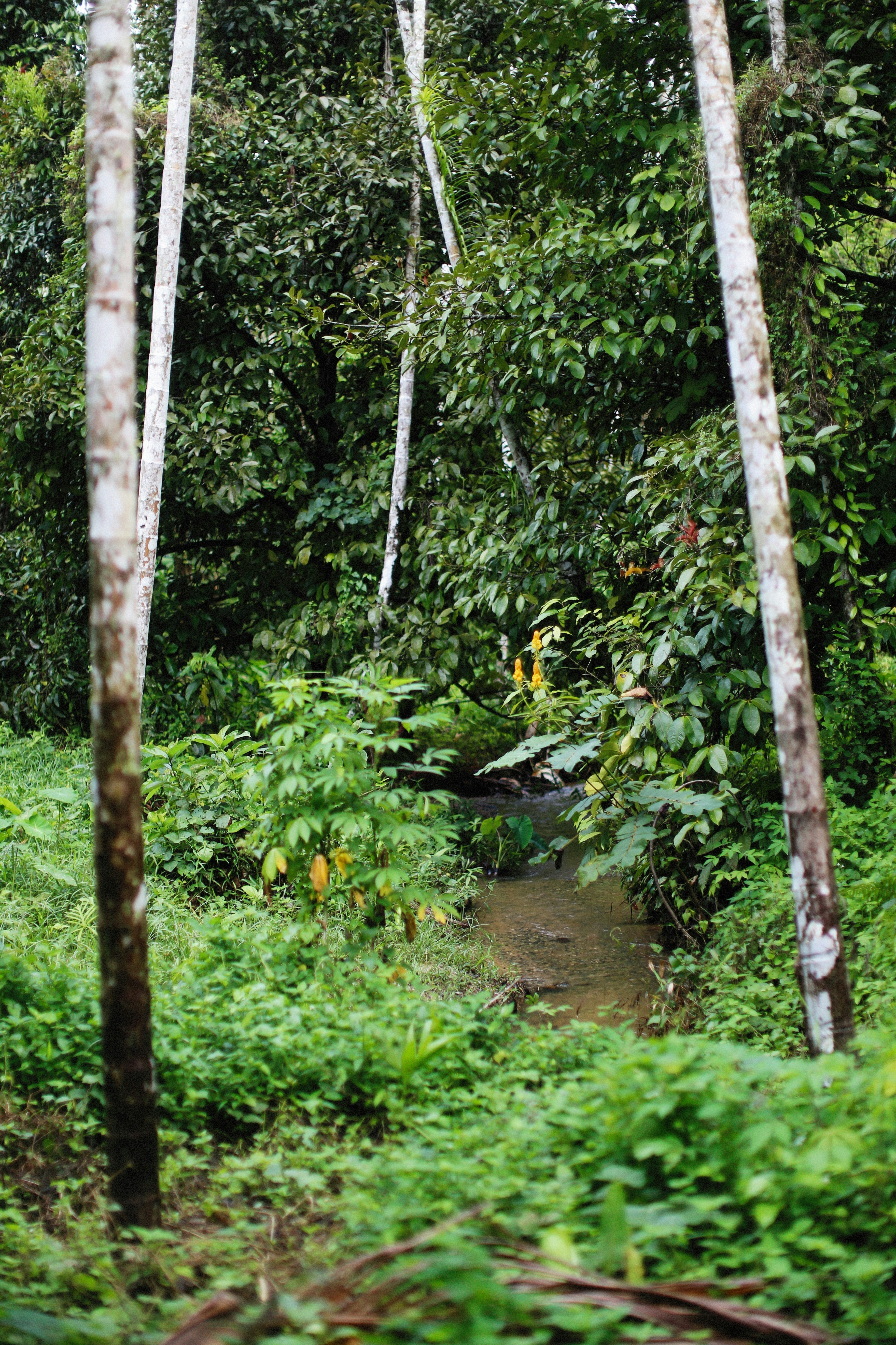 Photo by alexeydemidov