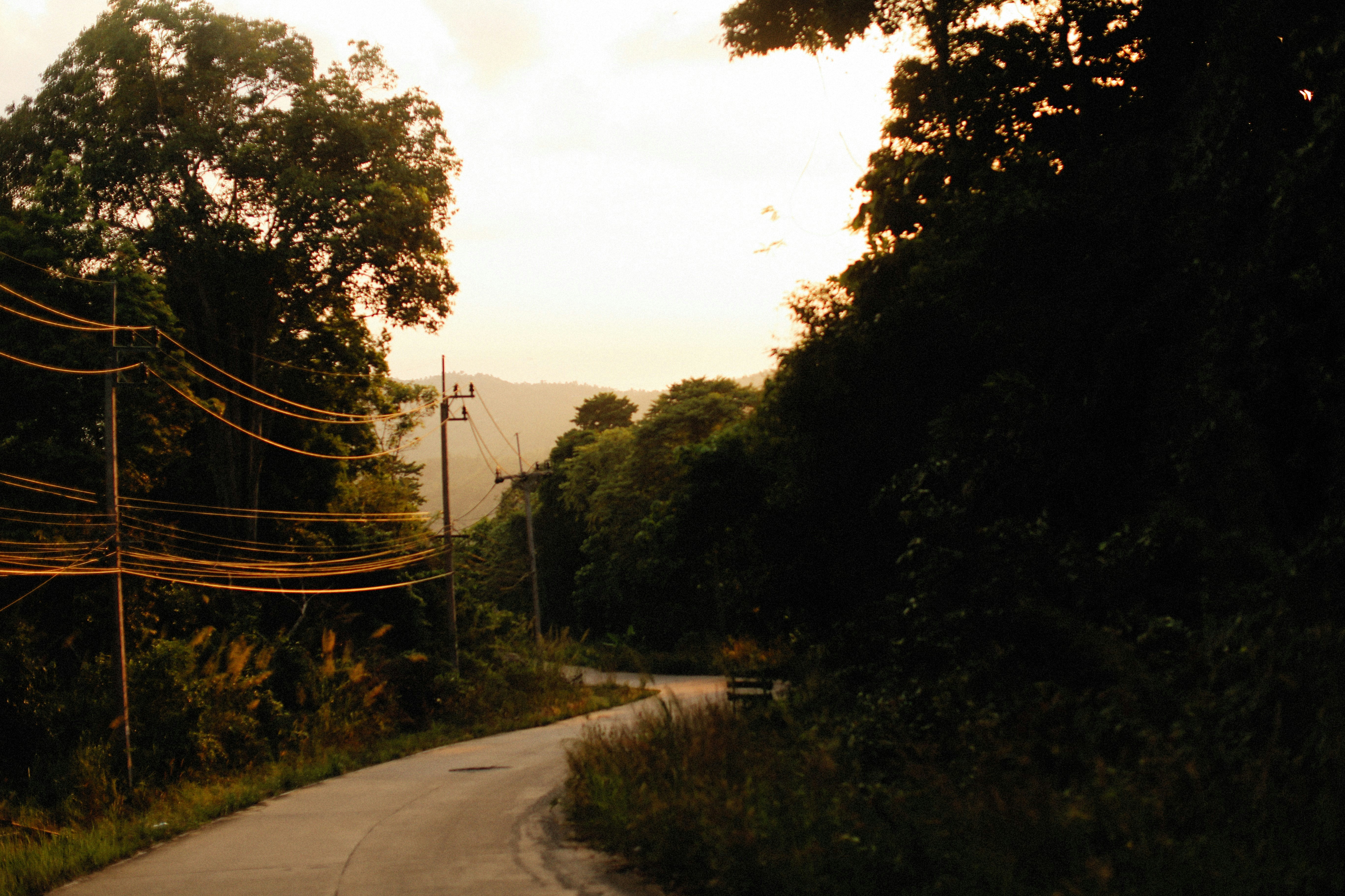 Photo by alexeydemidov