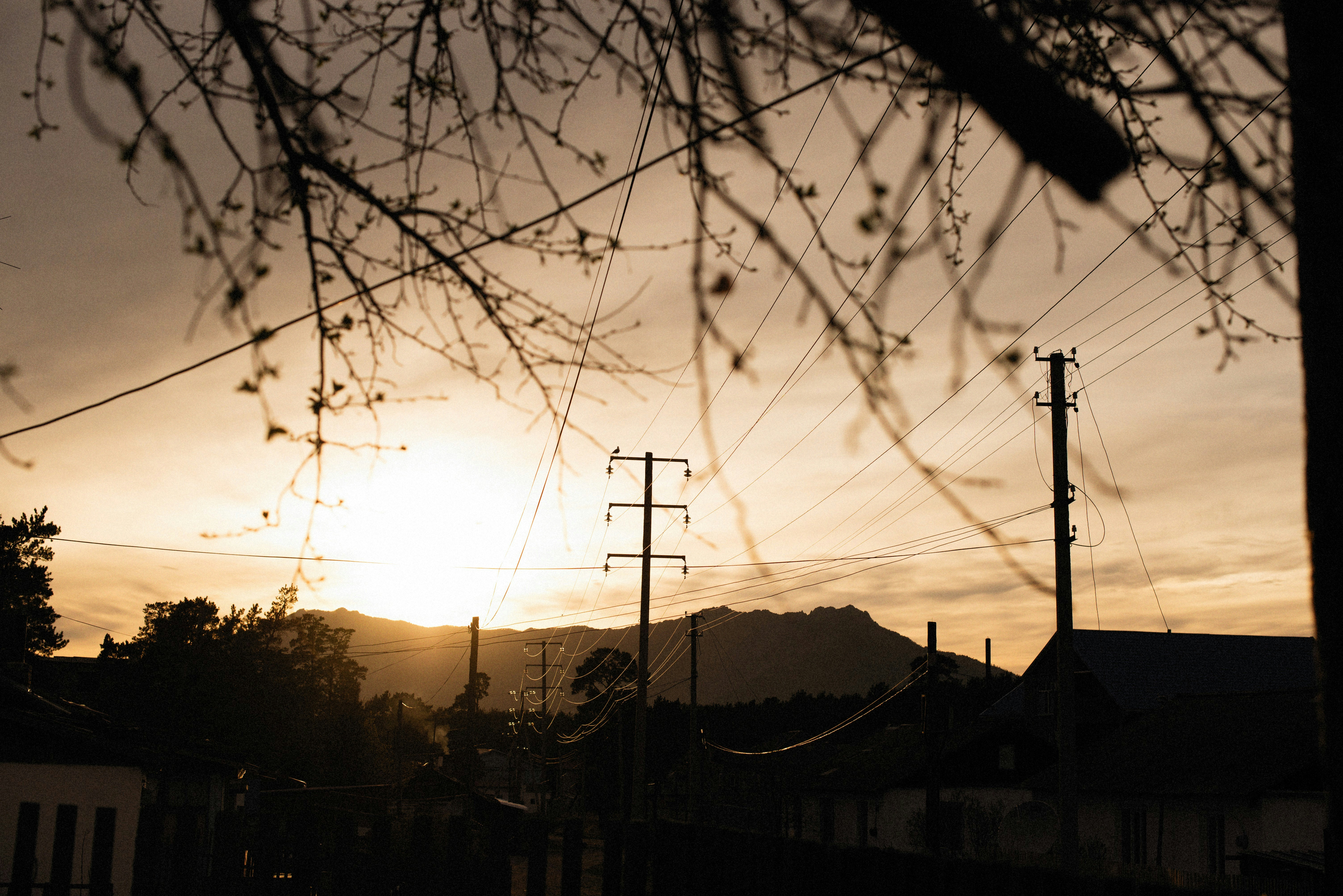 Photo by alexeydemidov