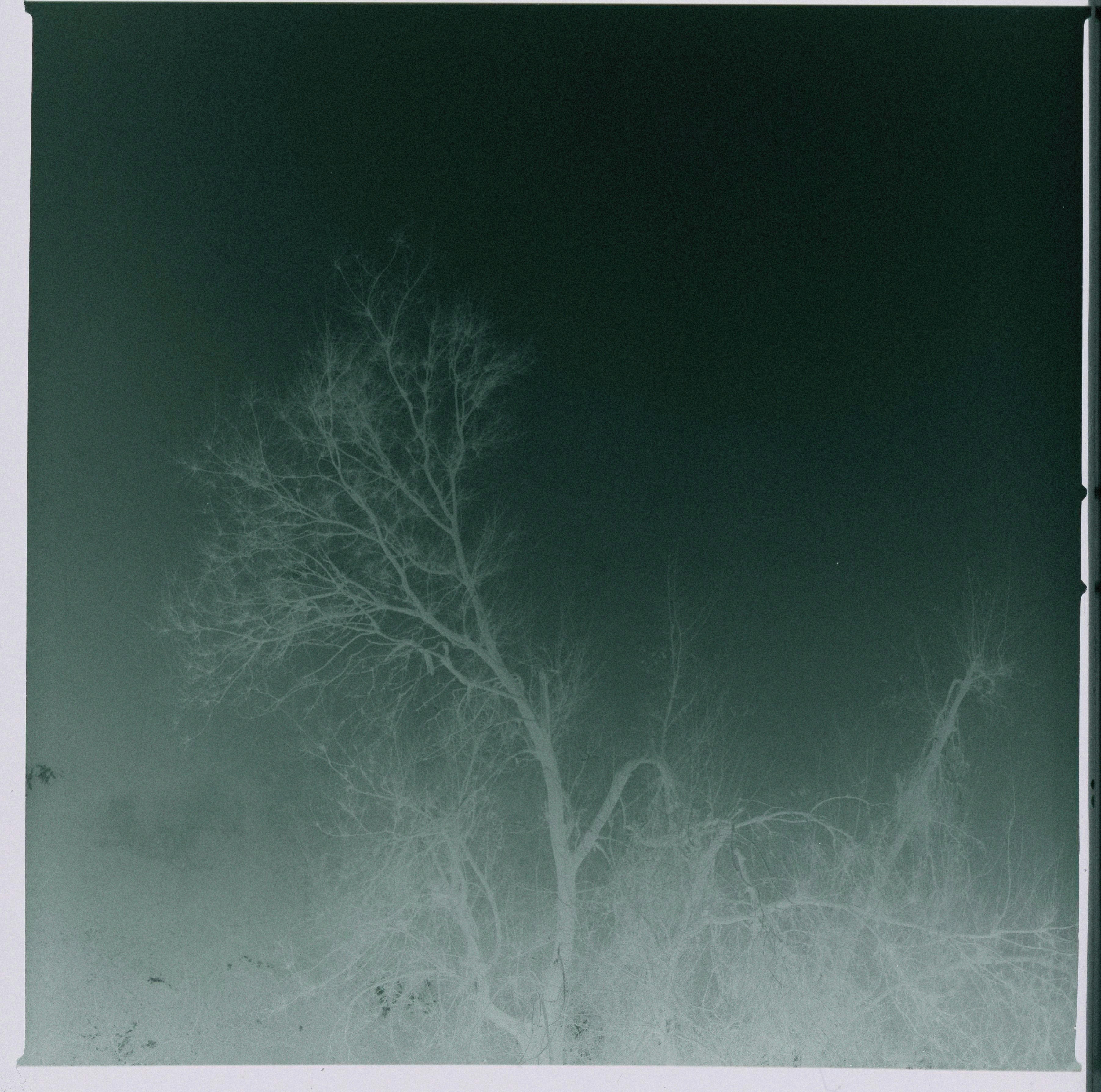 Photo by alexeydemidov