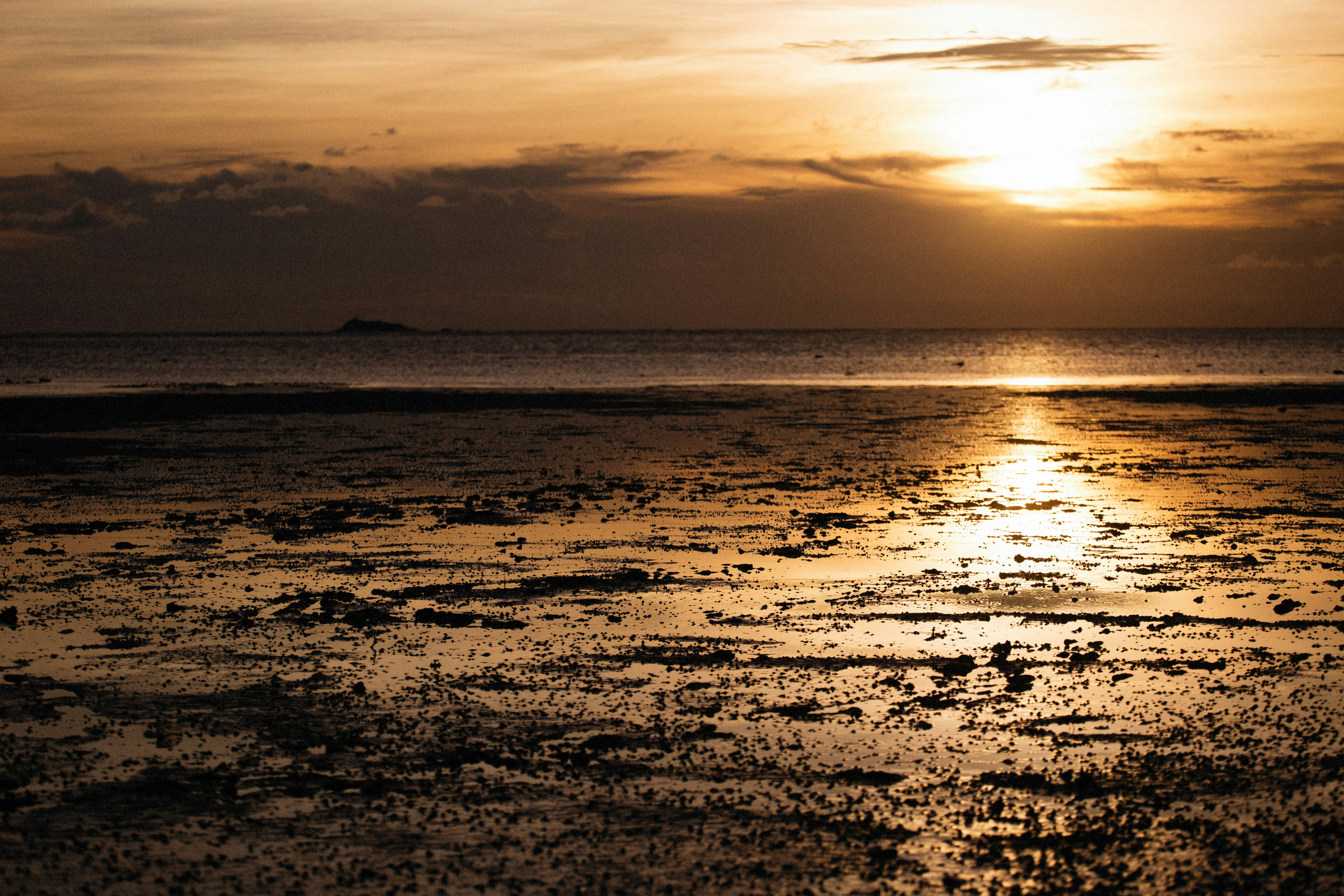 Photo by alexeydemidov