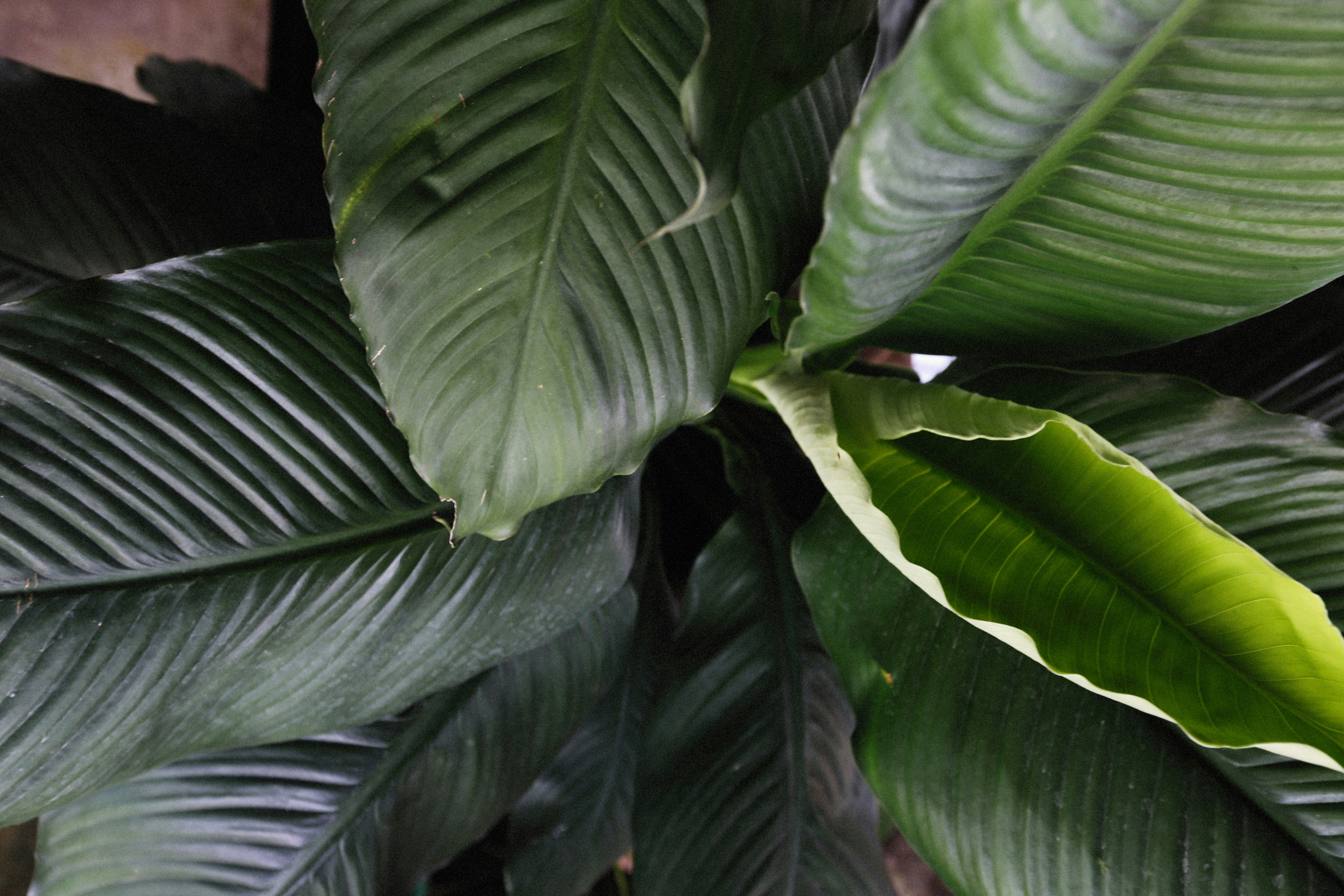 Photo by alexeydemidov