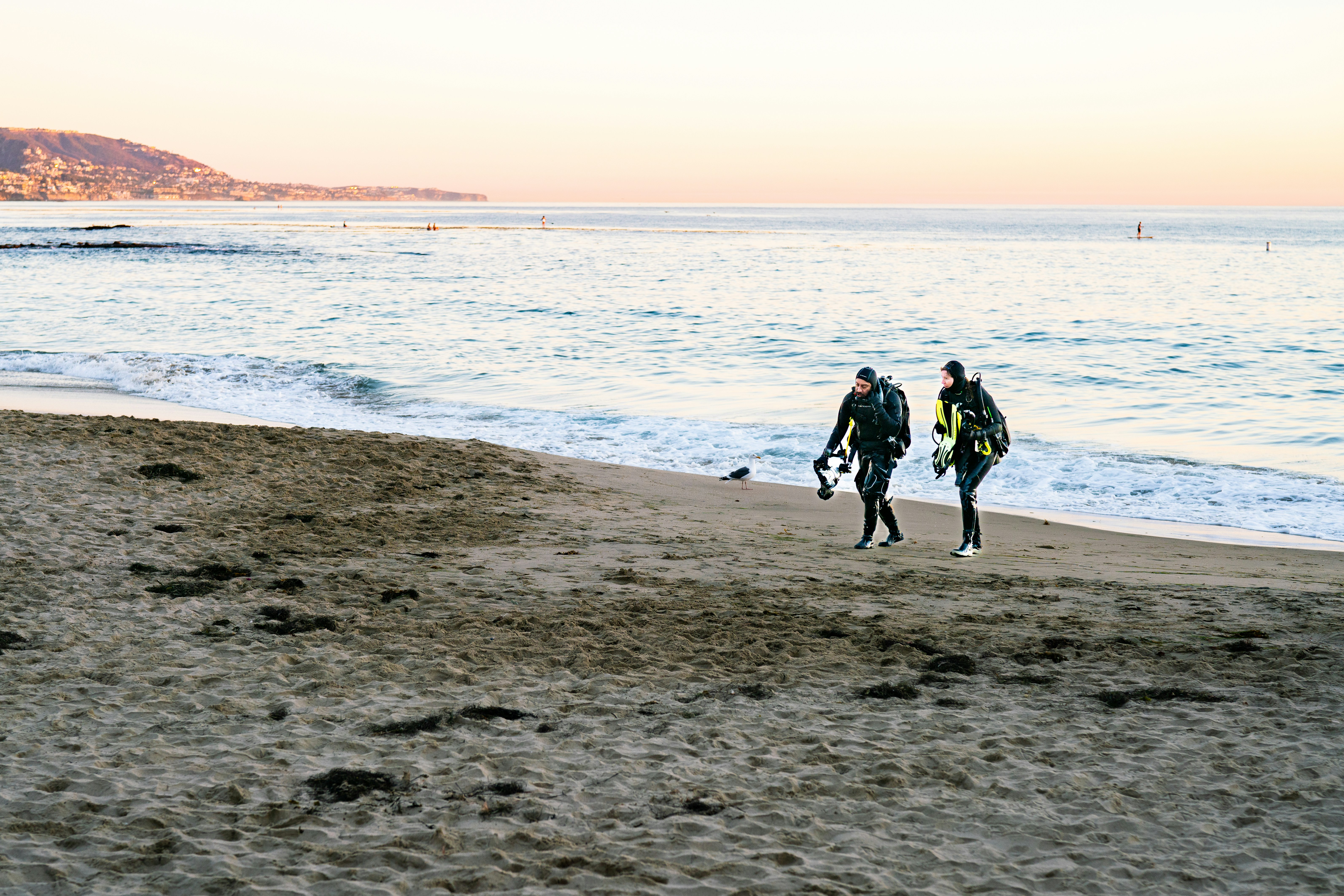 a couple of people walking along a beach next to the ocean, 