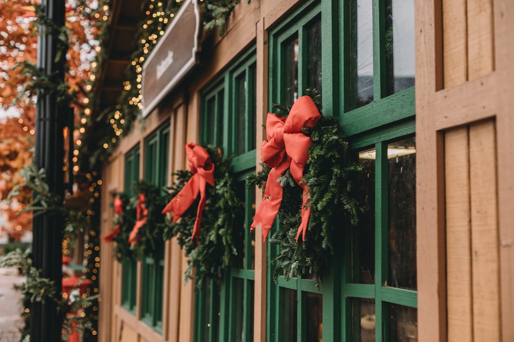 a row of green windows with red bows on them