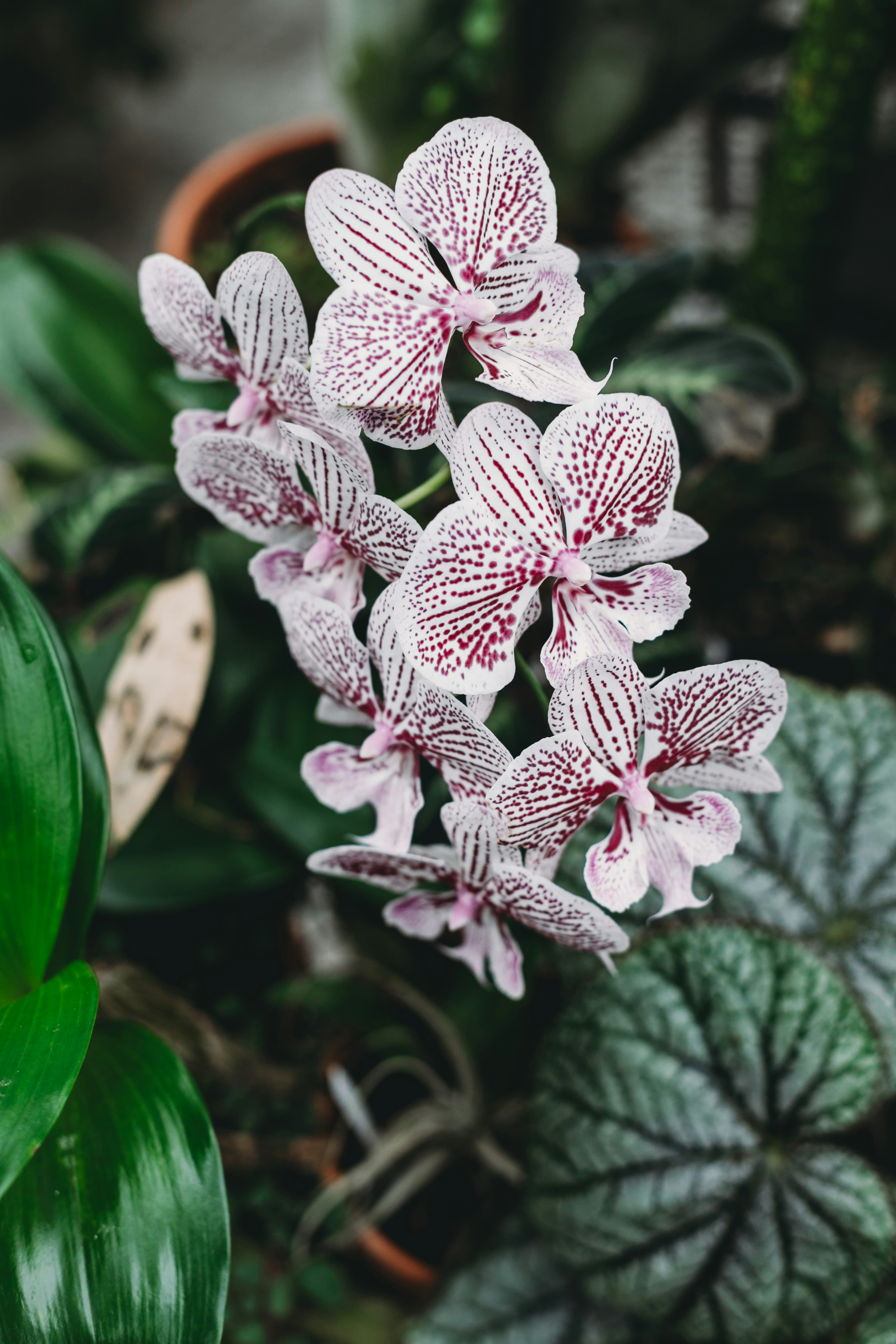 Photo by stevenvanelk